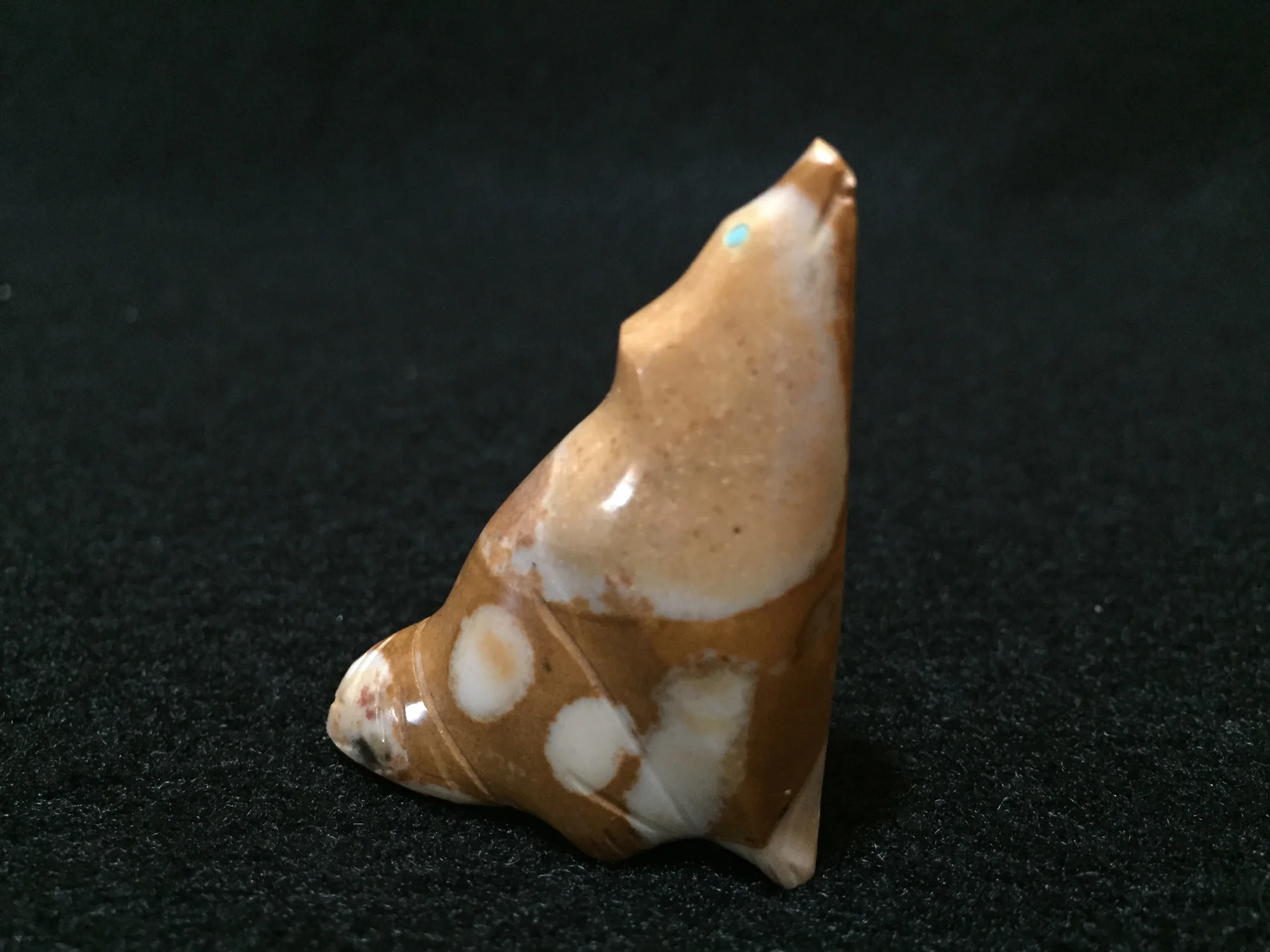 RX20R_Zuni_Leland--Boone_tugilite_coyote.jpg