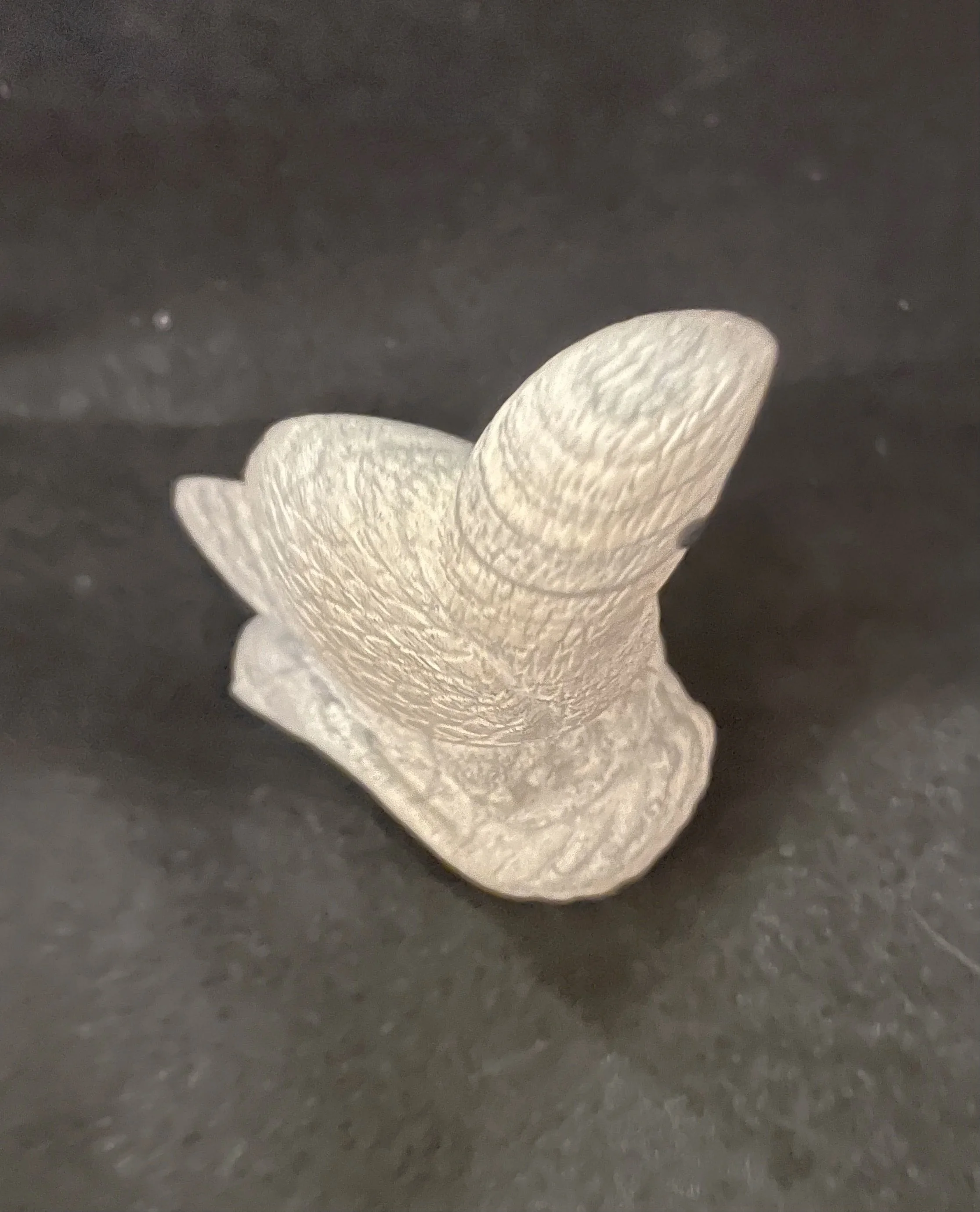 SX56_Micheal_Coble_parrot-fetish_carving_TV.jpg