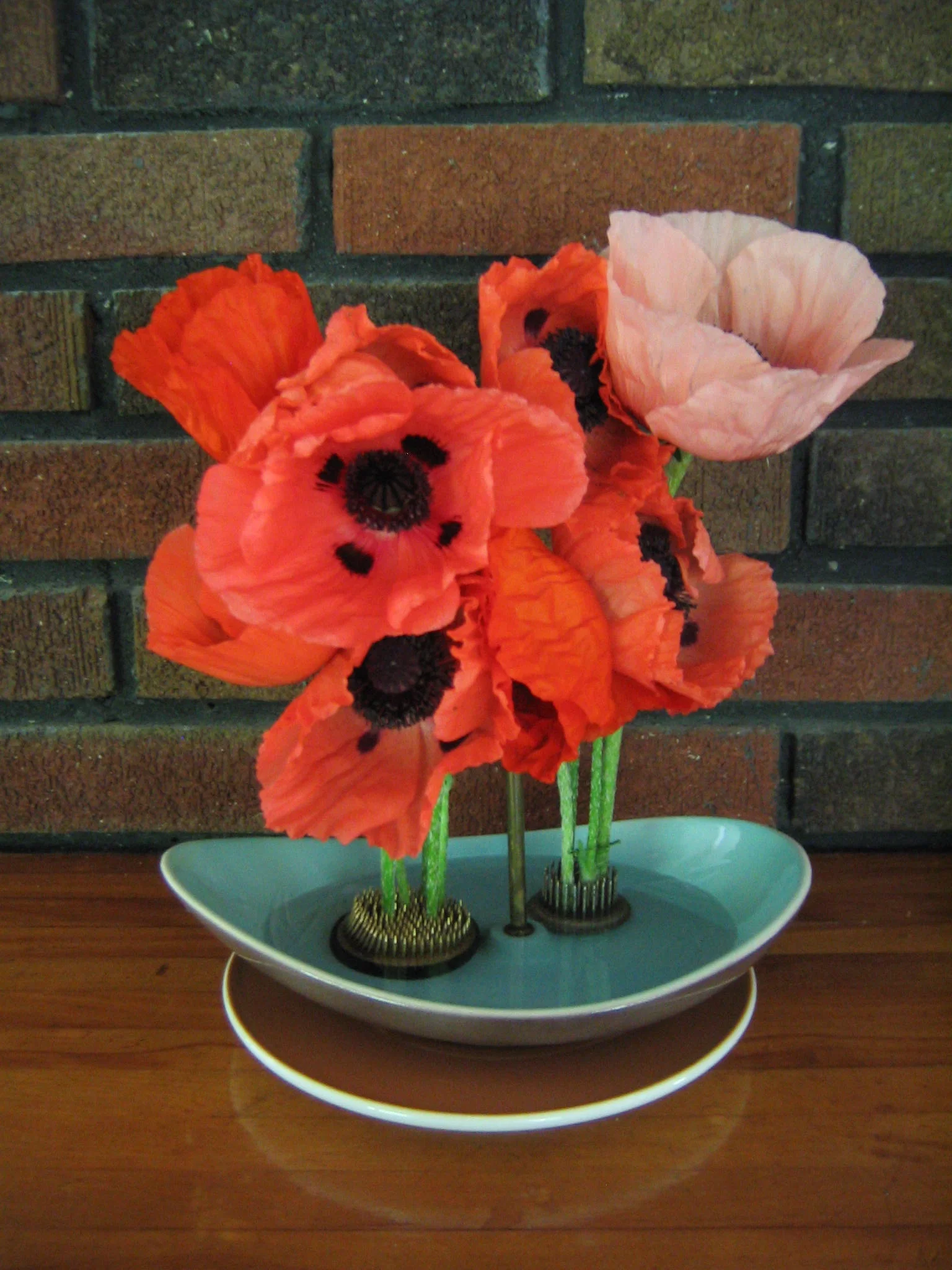 Poppies