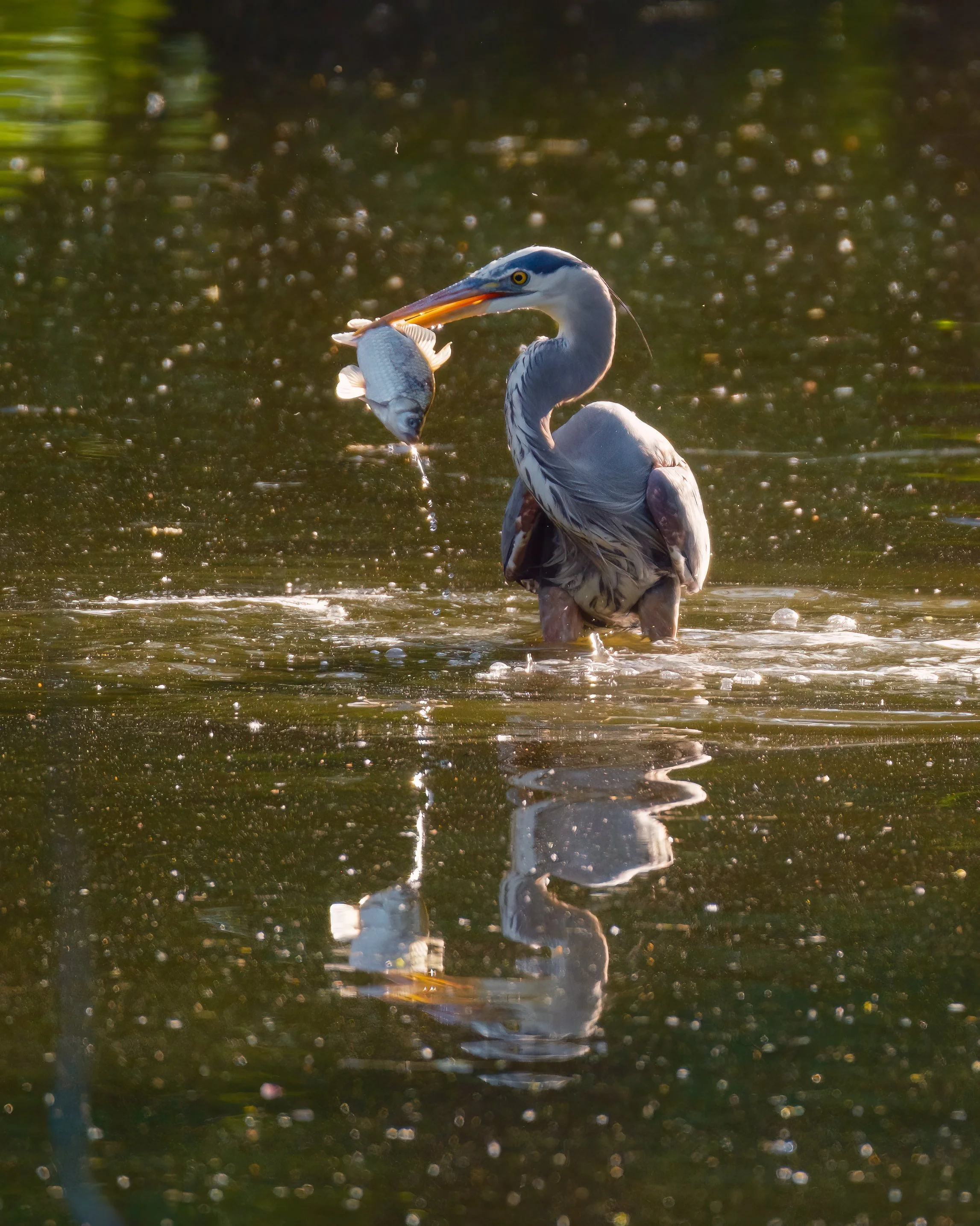 Let's call it a photo dump