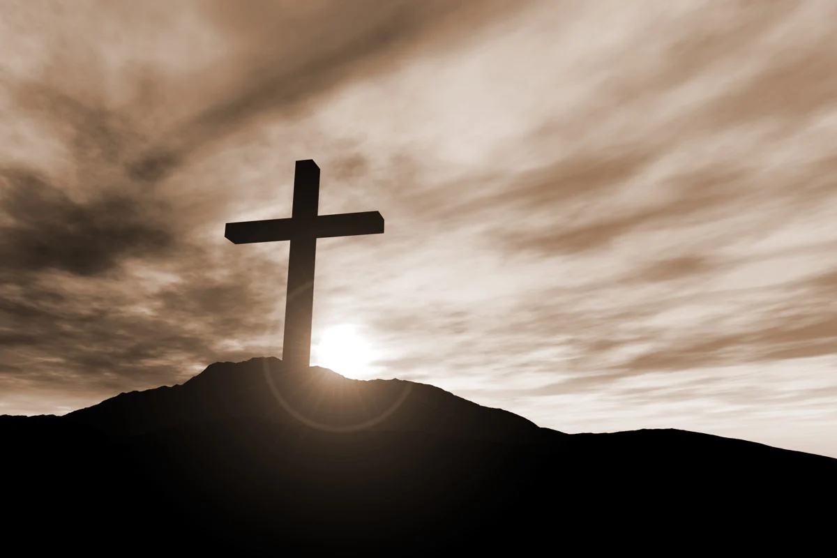 THE PRICE OF LIFE