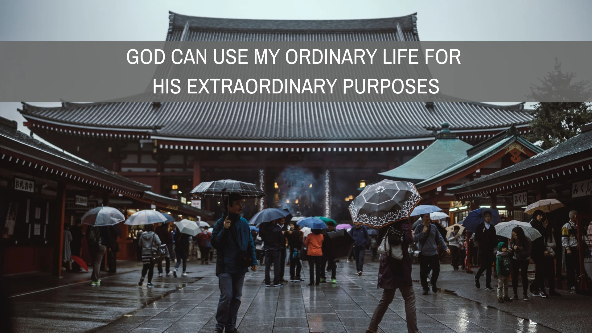 The Significance of the Ordinary — BLOG POSTS — ILI Team