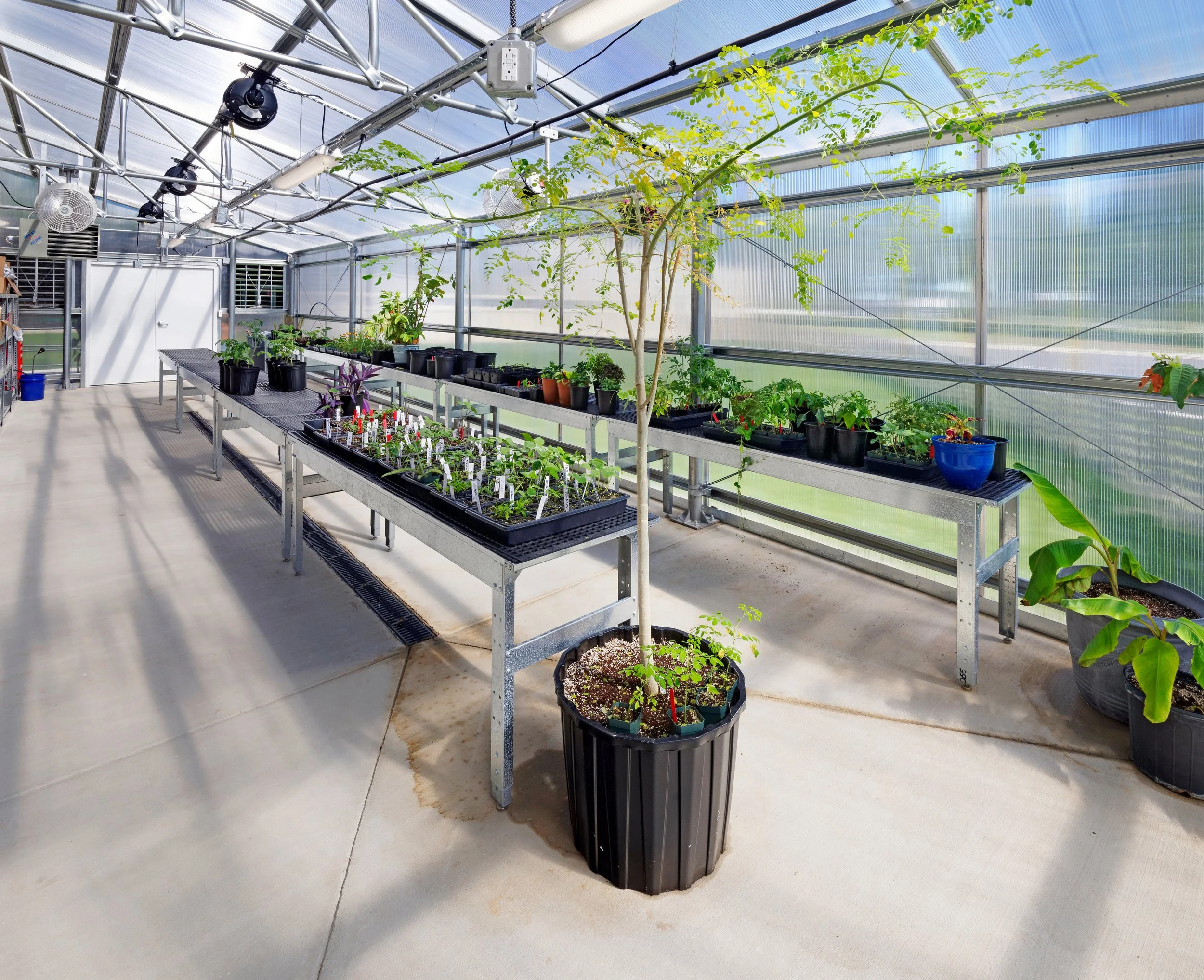 Greenhouse Engineering.jpg