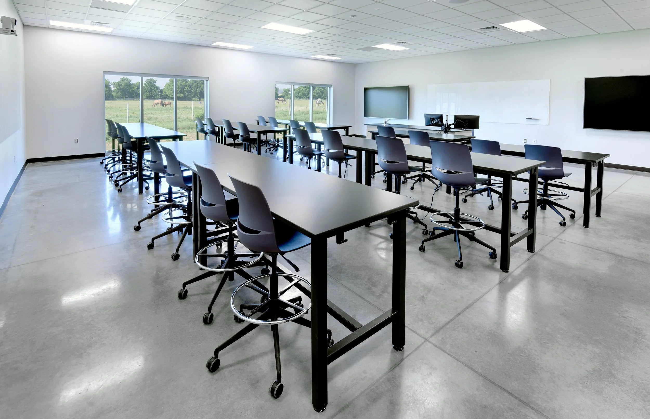 Small Animal Engineer.jpg