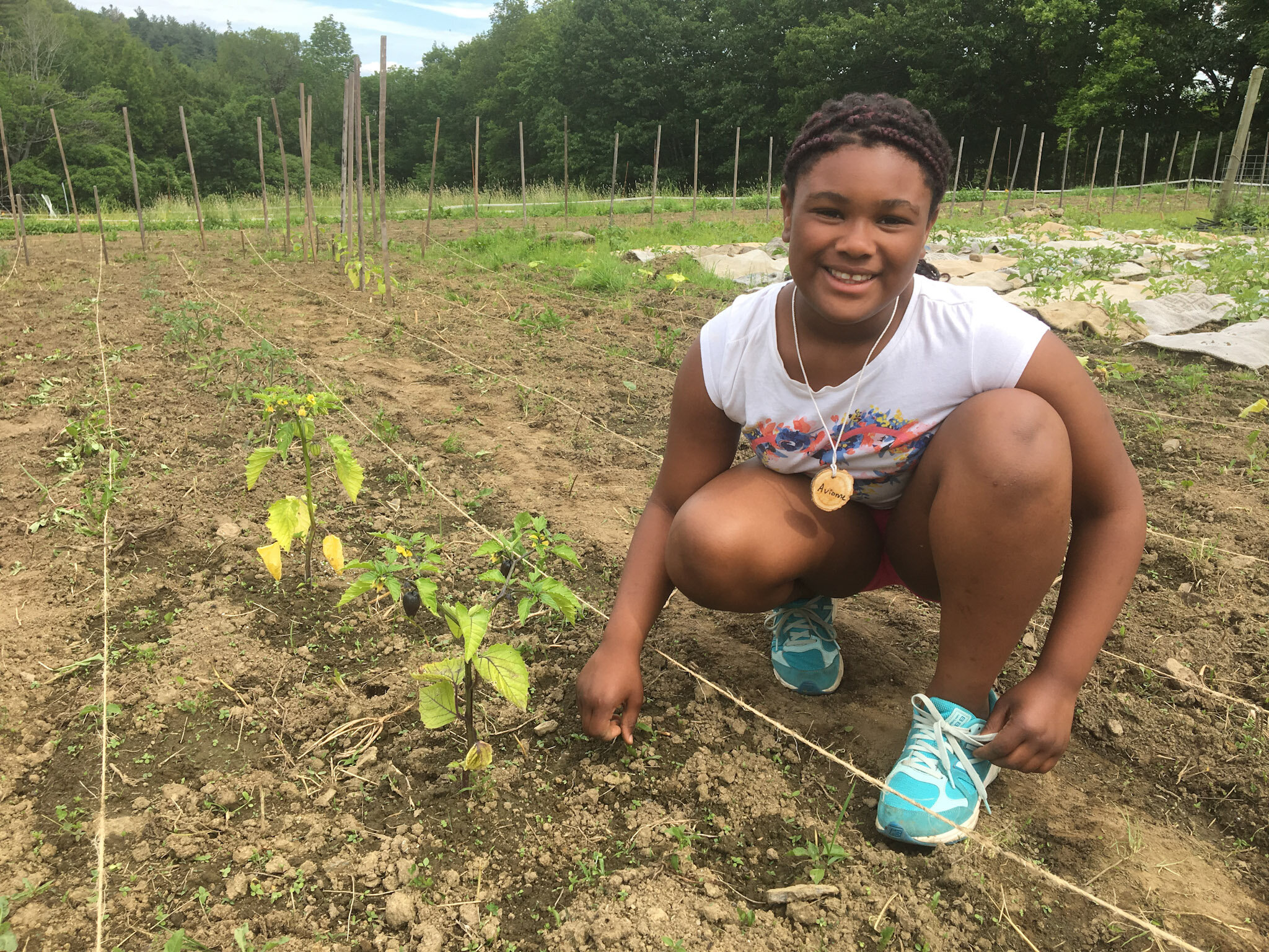 190624planting-rows.jpg