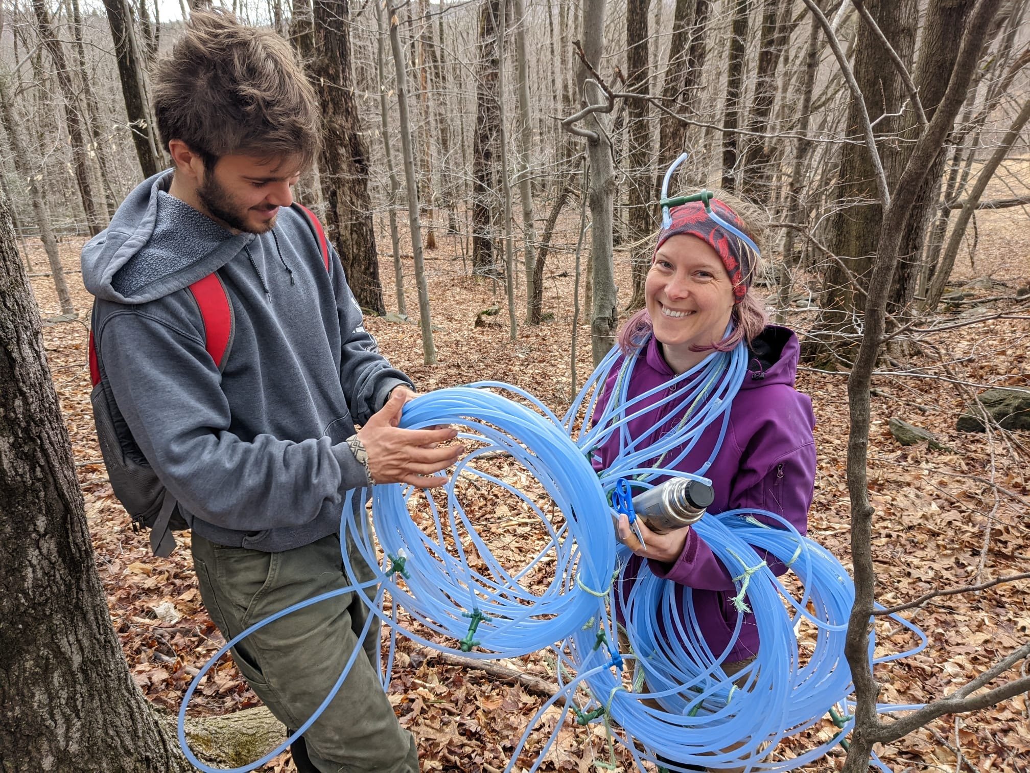 Taking down sap lines 