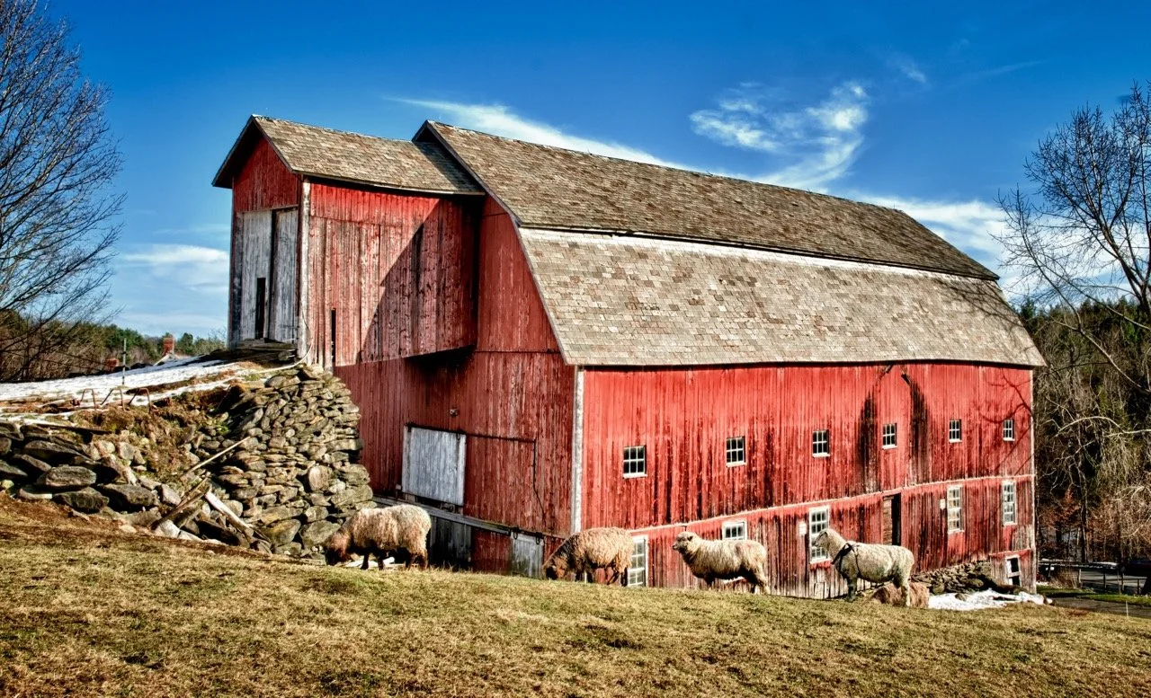 barn1.jpg