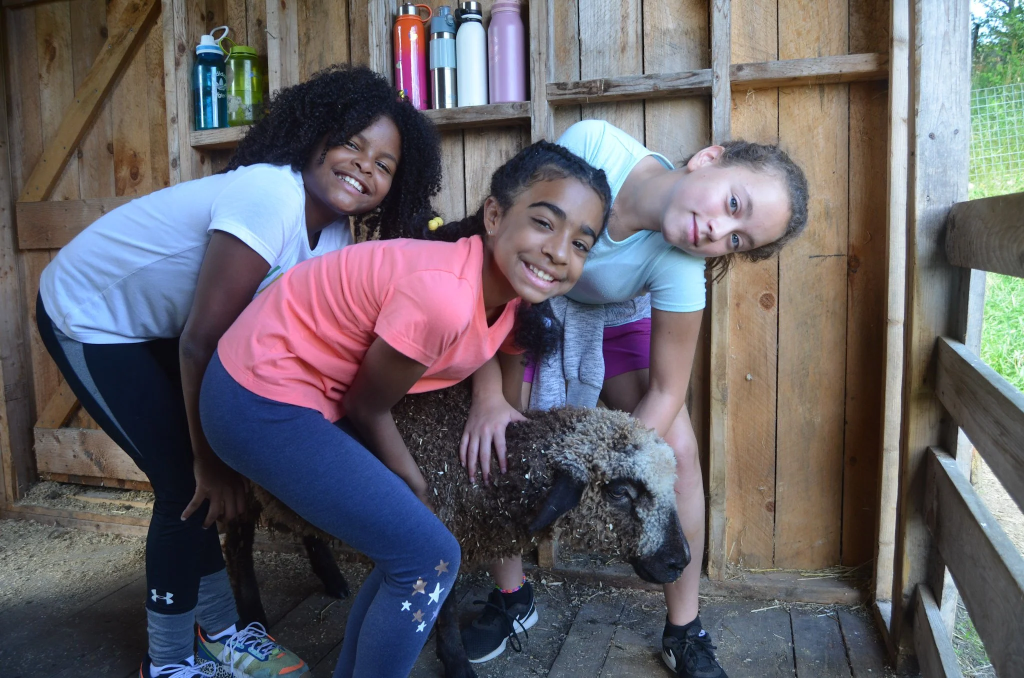 girls-w-sheep - DSC_5719.jpg