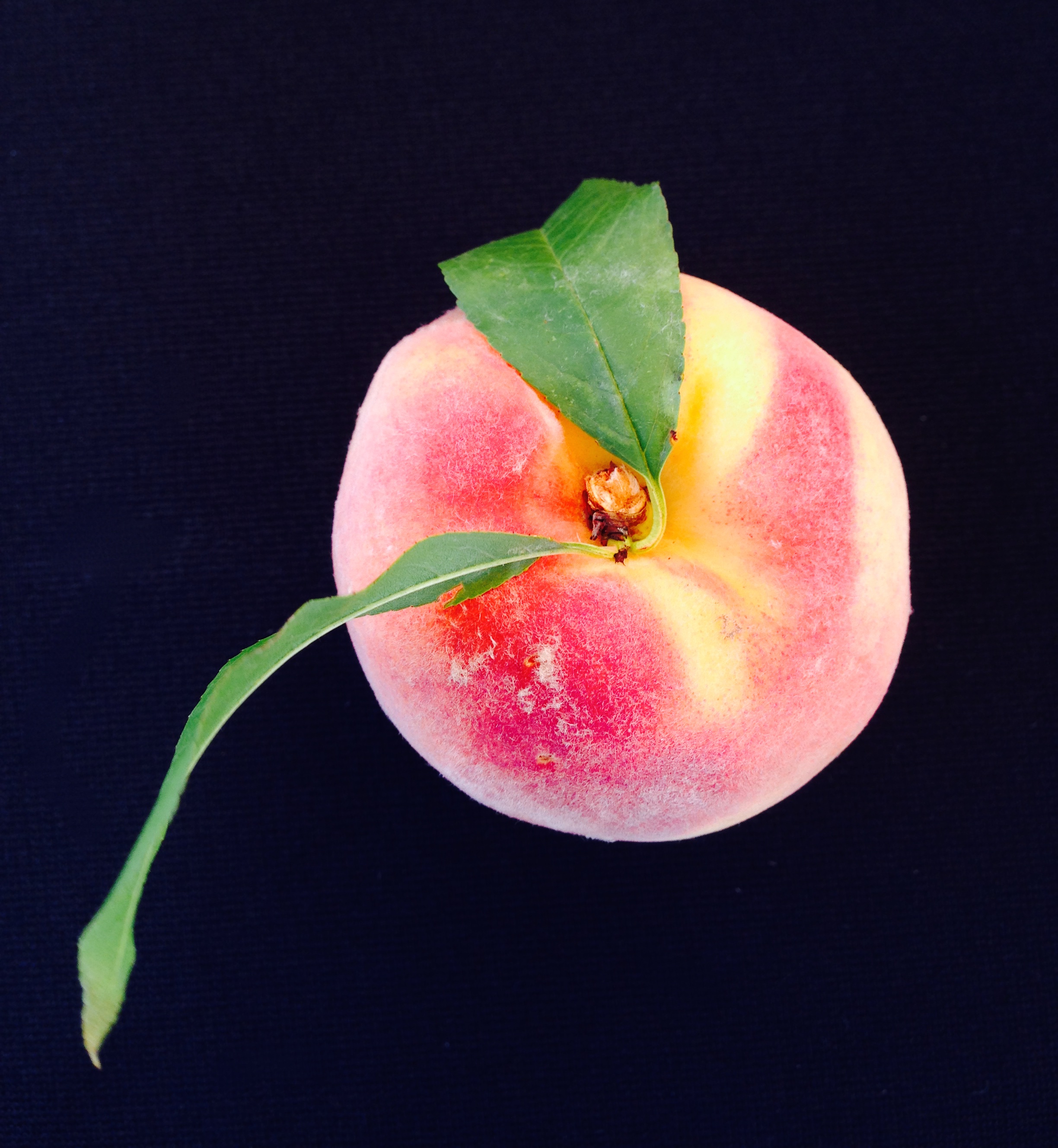 fuzzy leafy peach