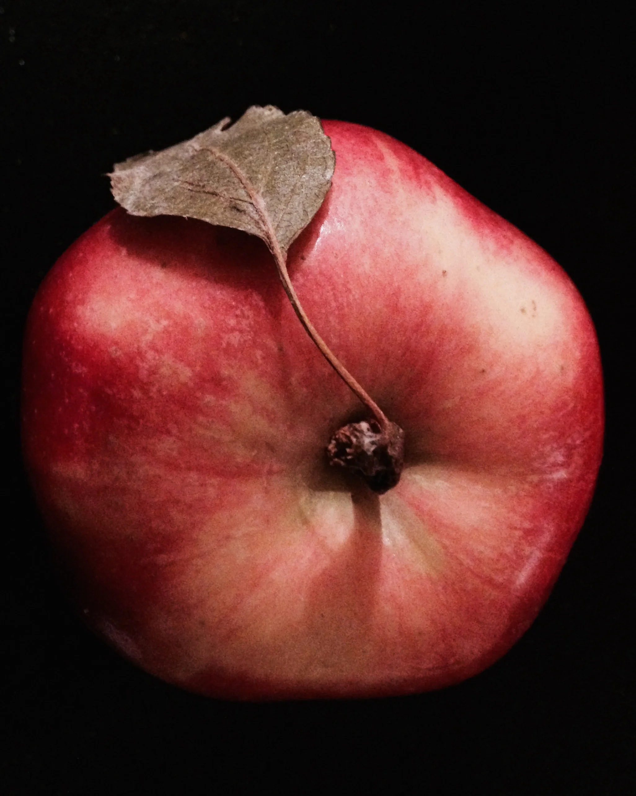 leafy apple
