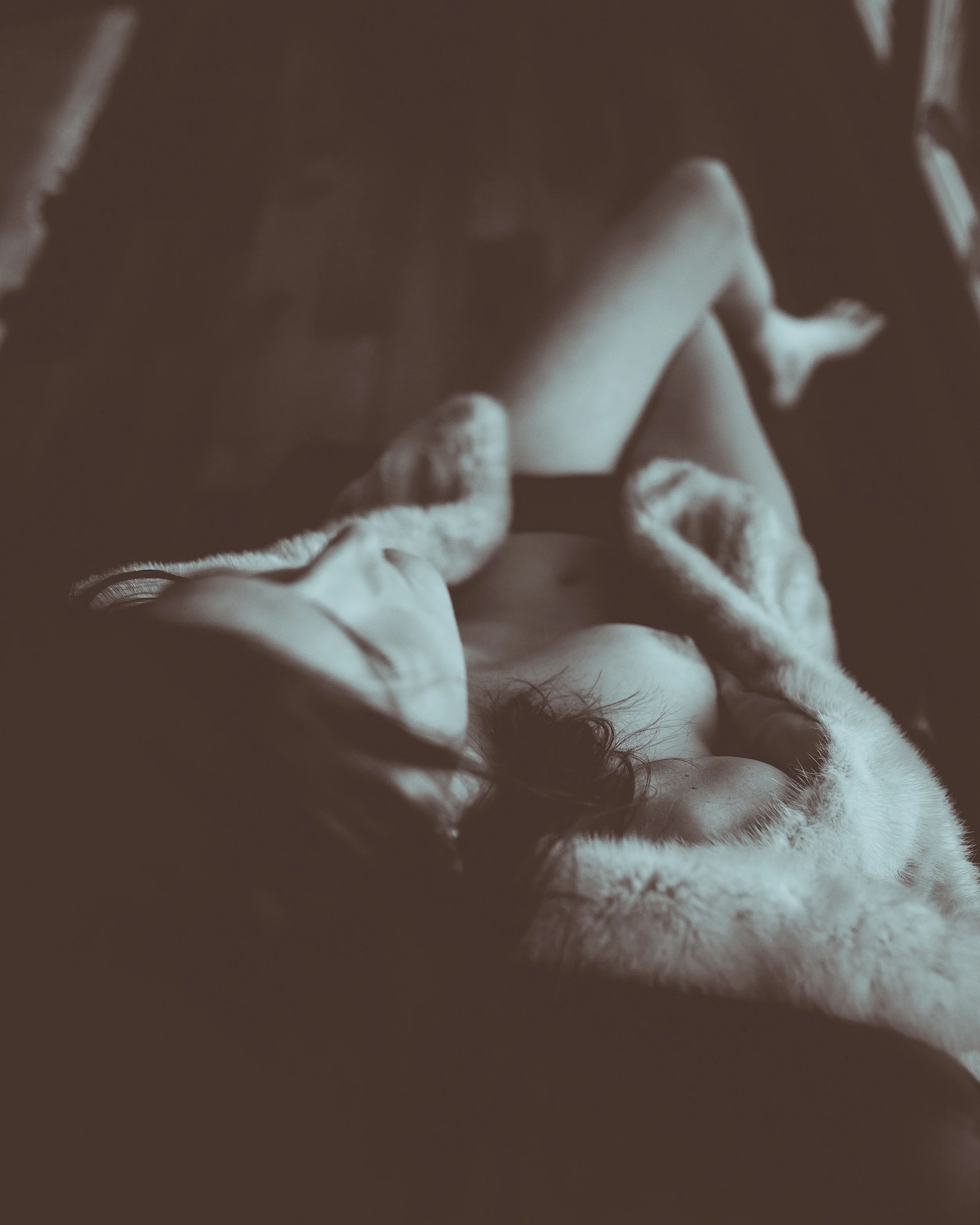 laceyfurs (20 of 74).jpg
