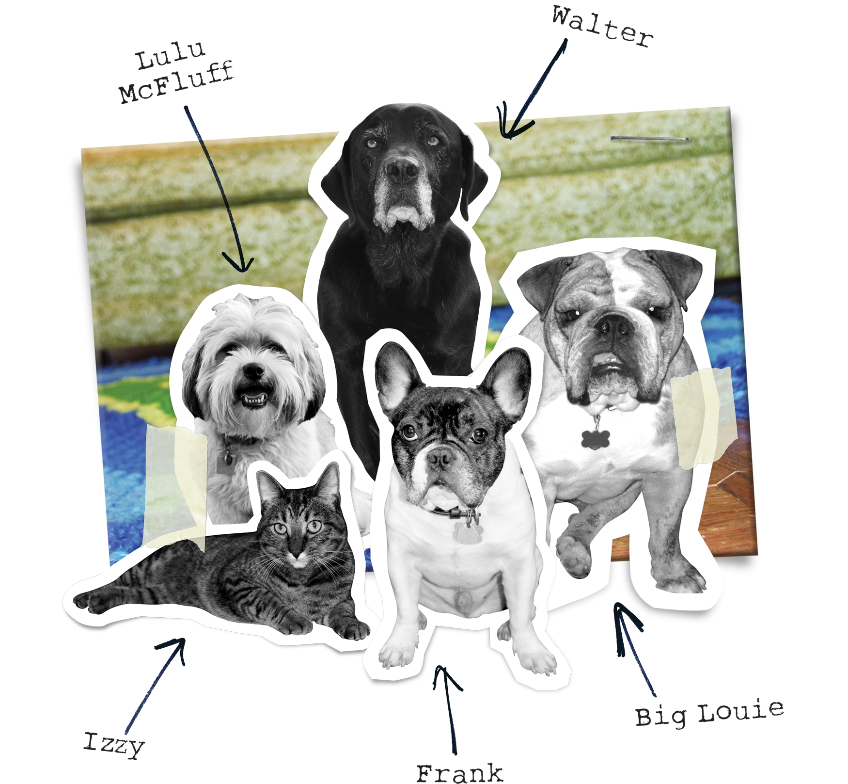 FF_SSWebsite_OurStory_1920x1920.png
