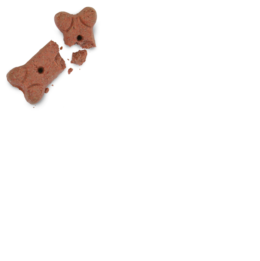 FF_DogTreat_001Small.png