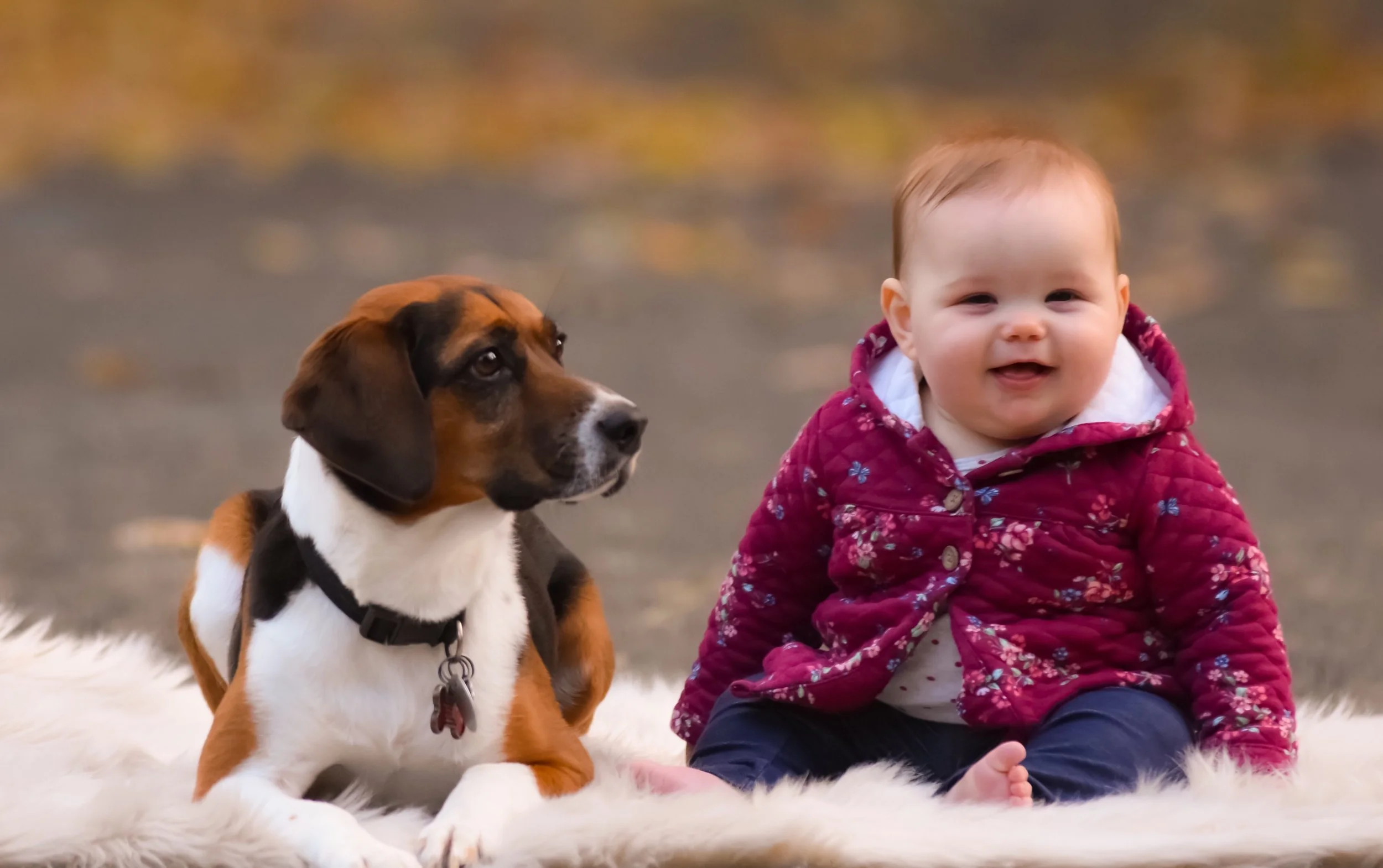 457F5397-6B66-40D8-98C8-139A351CF30A.jpeg