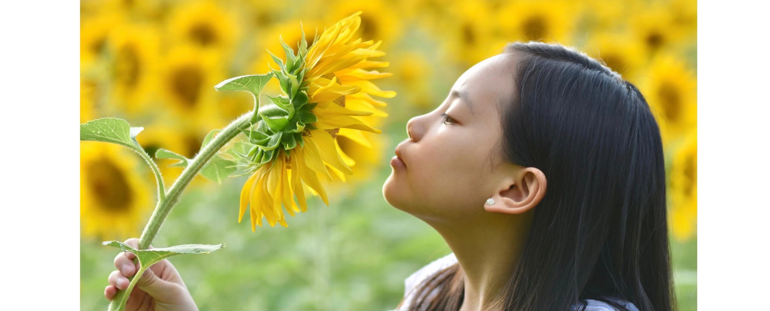2 slots left Sunflower Mini's Sept 11th