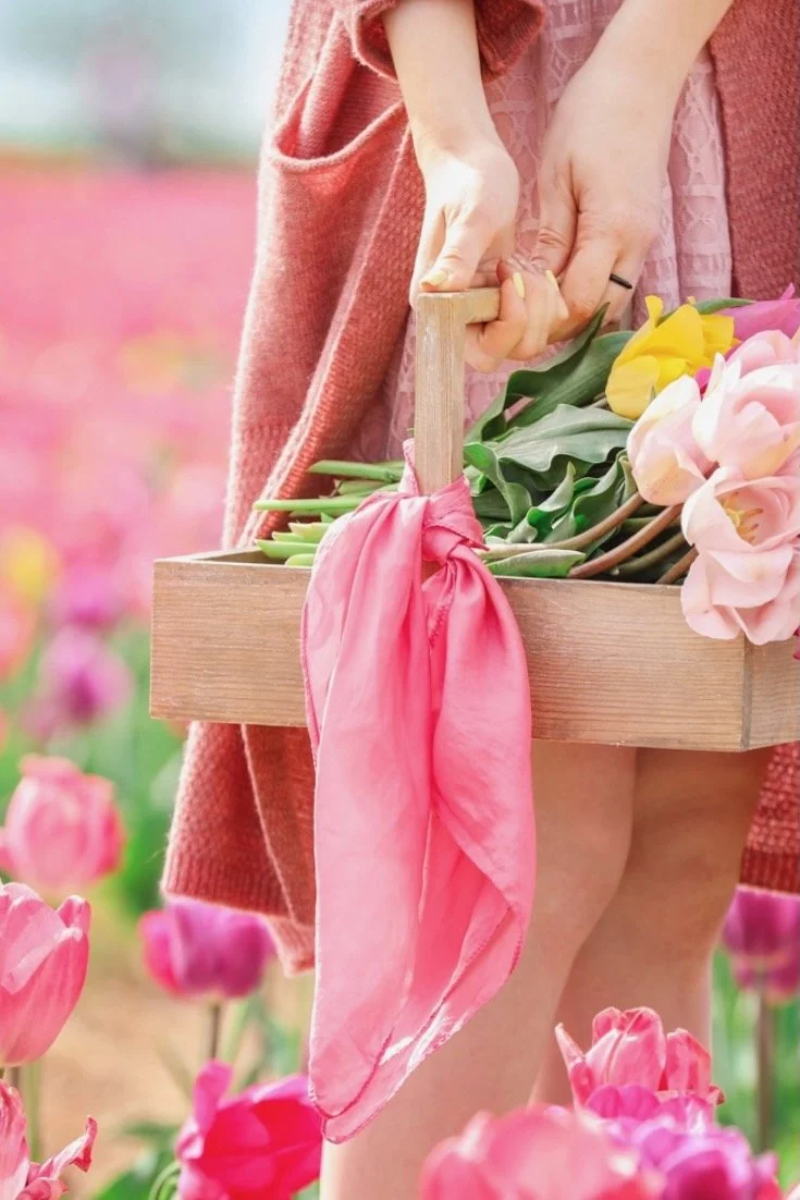 Tulilp Field Ipswich Mini’s May 1st