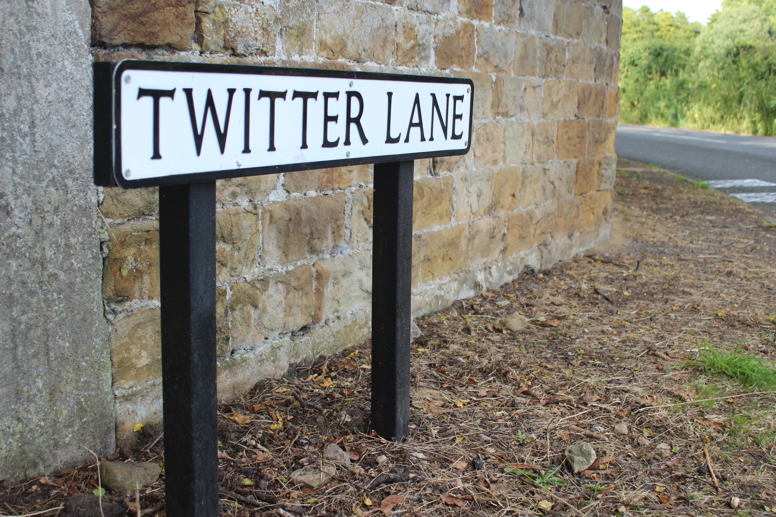bigtwitterlane.jpg