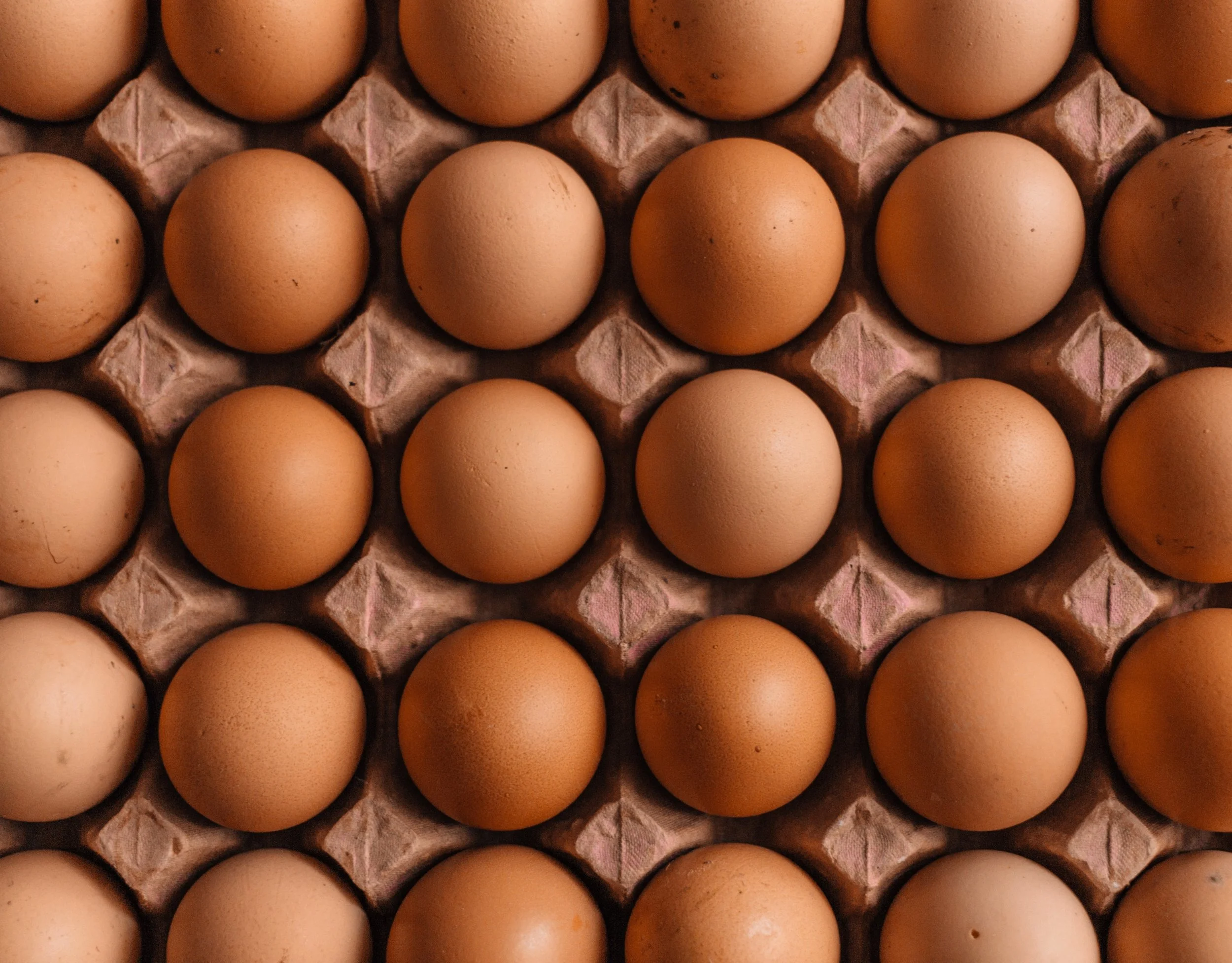 We're all the same. Because we all need to be different.