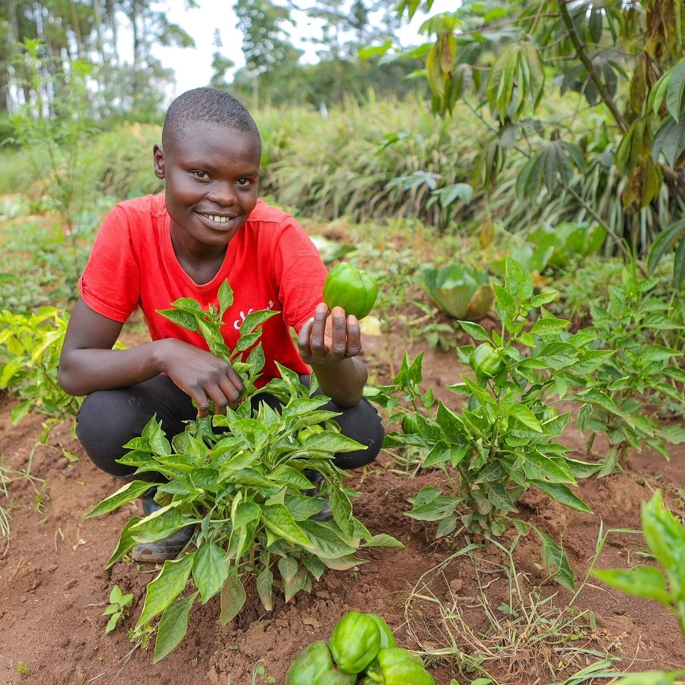 2025&mdash;an incredible year of impact that you made possible, full of highs and lows. A few highlights:

1. Launched two new programs in catering and agribusiness to offer more skills training options to Neema students. 🌱
2. Started the Pamoja Run