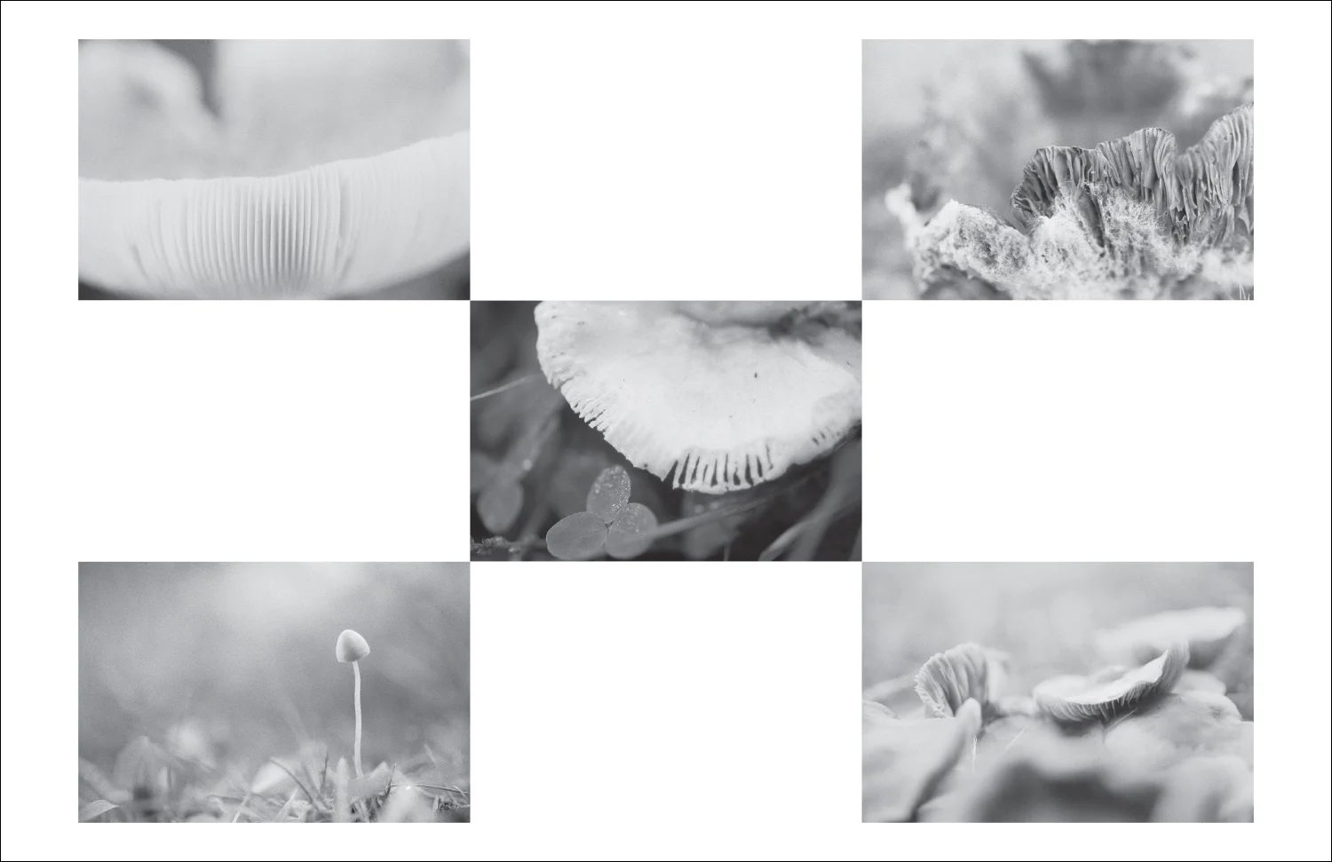 Photographs by Walker Friend