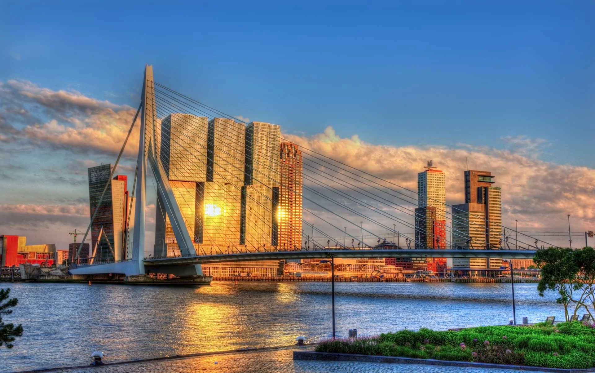 De dental summerschool 2017 vindt deze zomer plaats in rotterdam