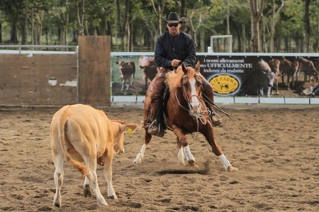 Mark Lavender on Tassas Aristocrat