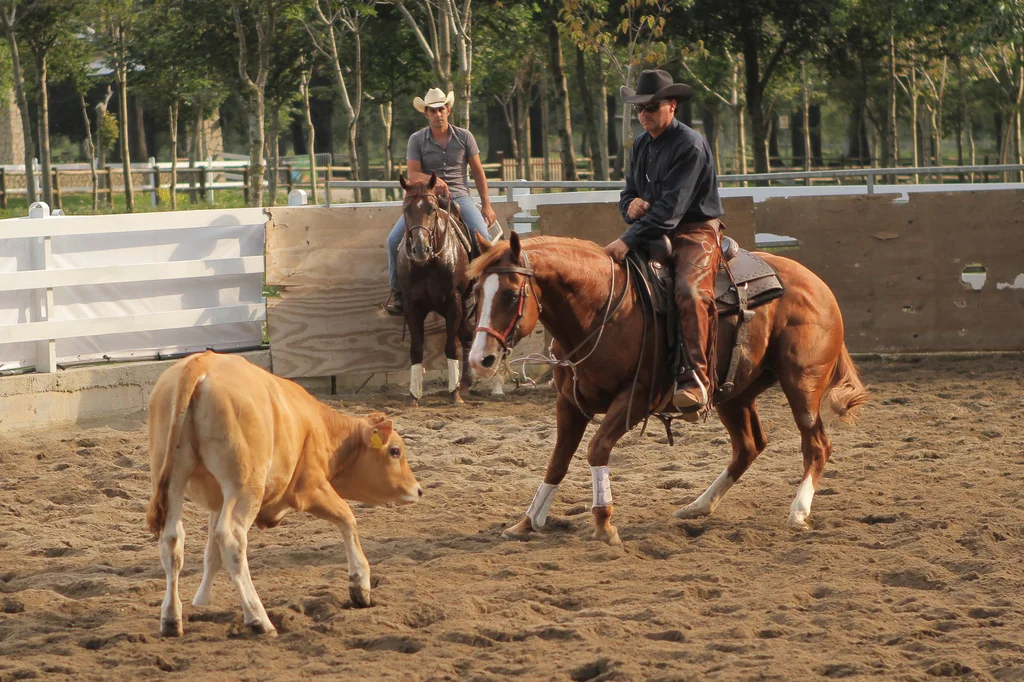 Matese Ranch Jackpot 2011
