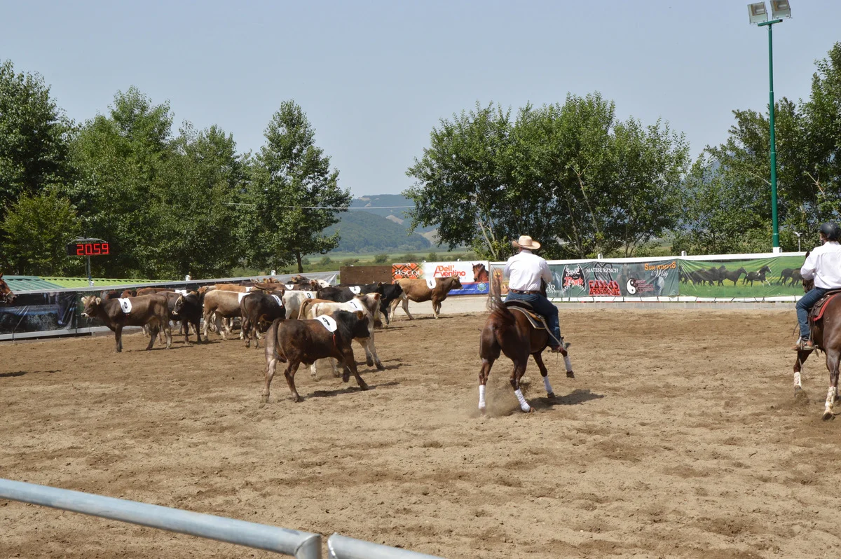 DSC_0302.jpg