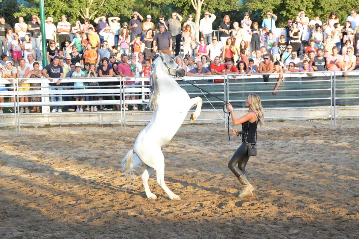 DSC_0930.jpg