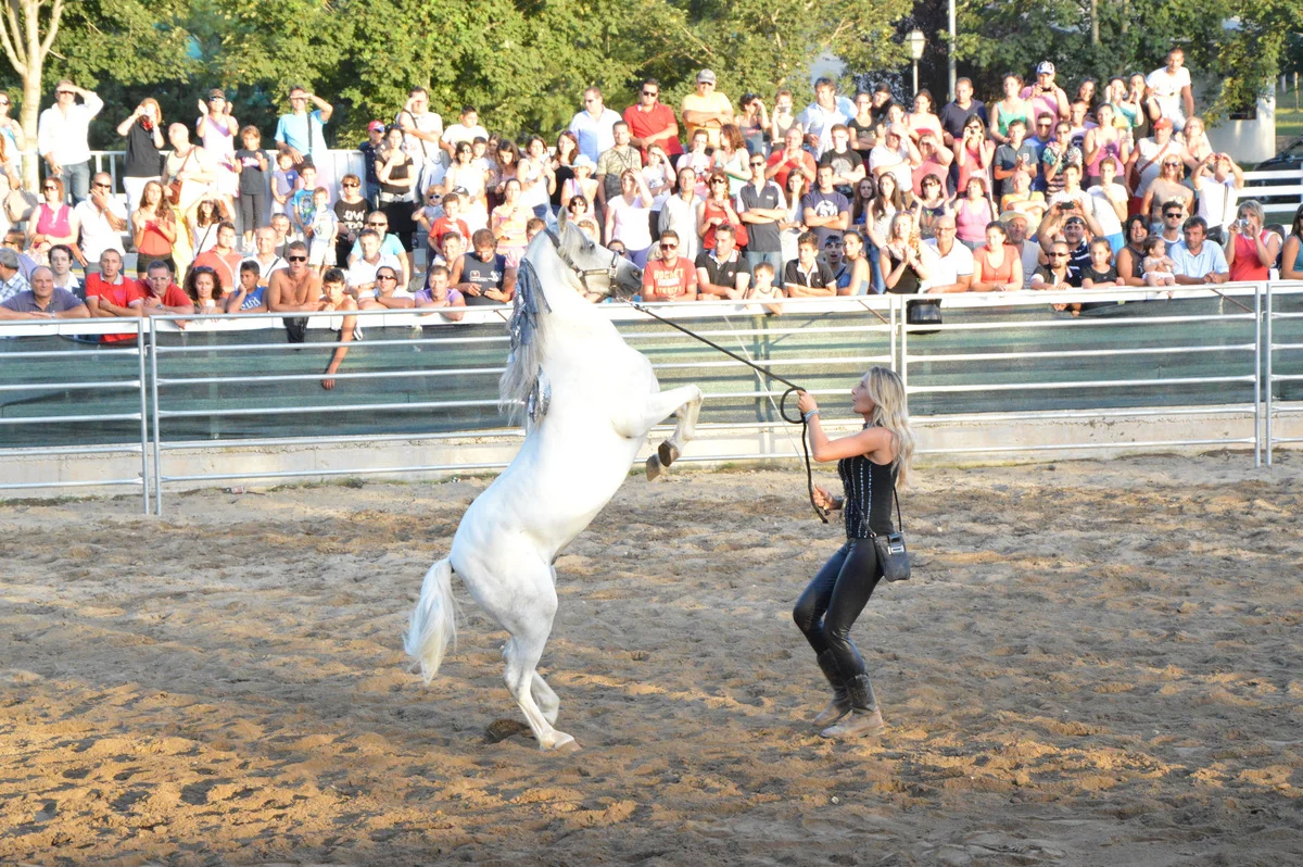 DSC_0932.jpg