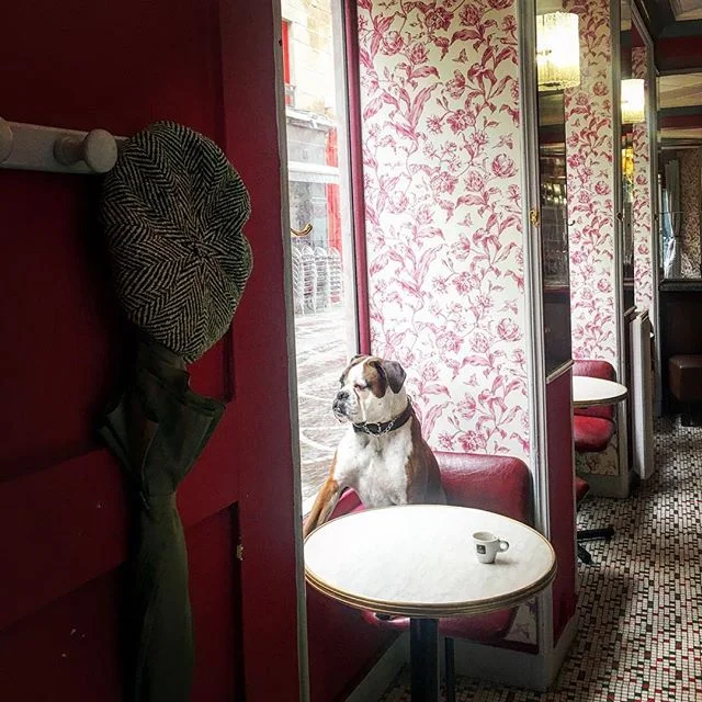 Ga&iuml;a is finished with her espresso.