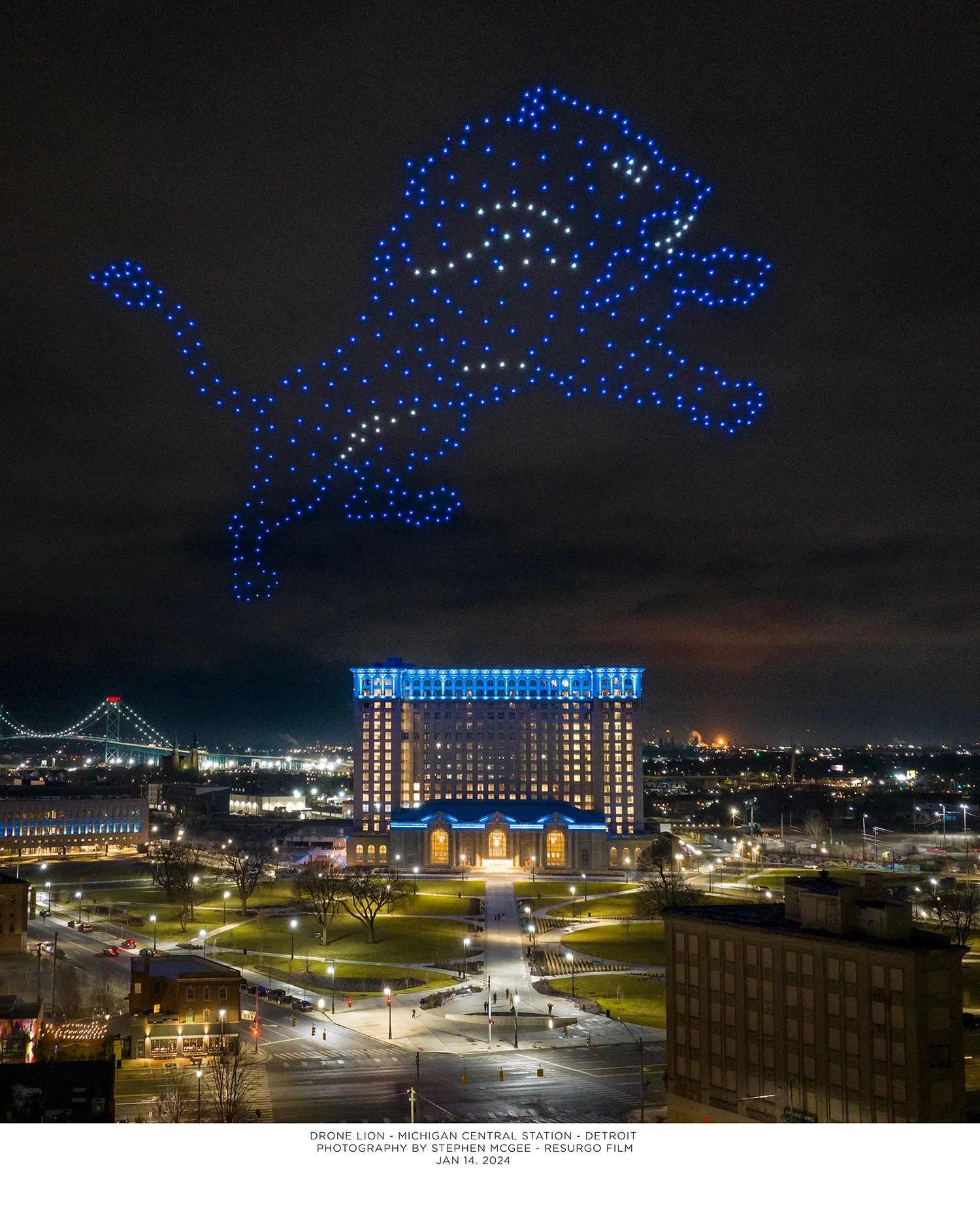 drone lion from sky shopify.jpg
