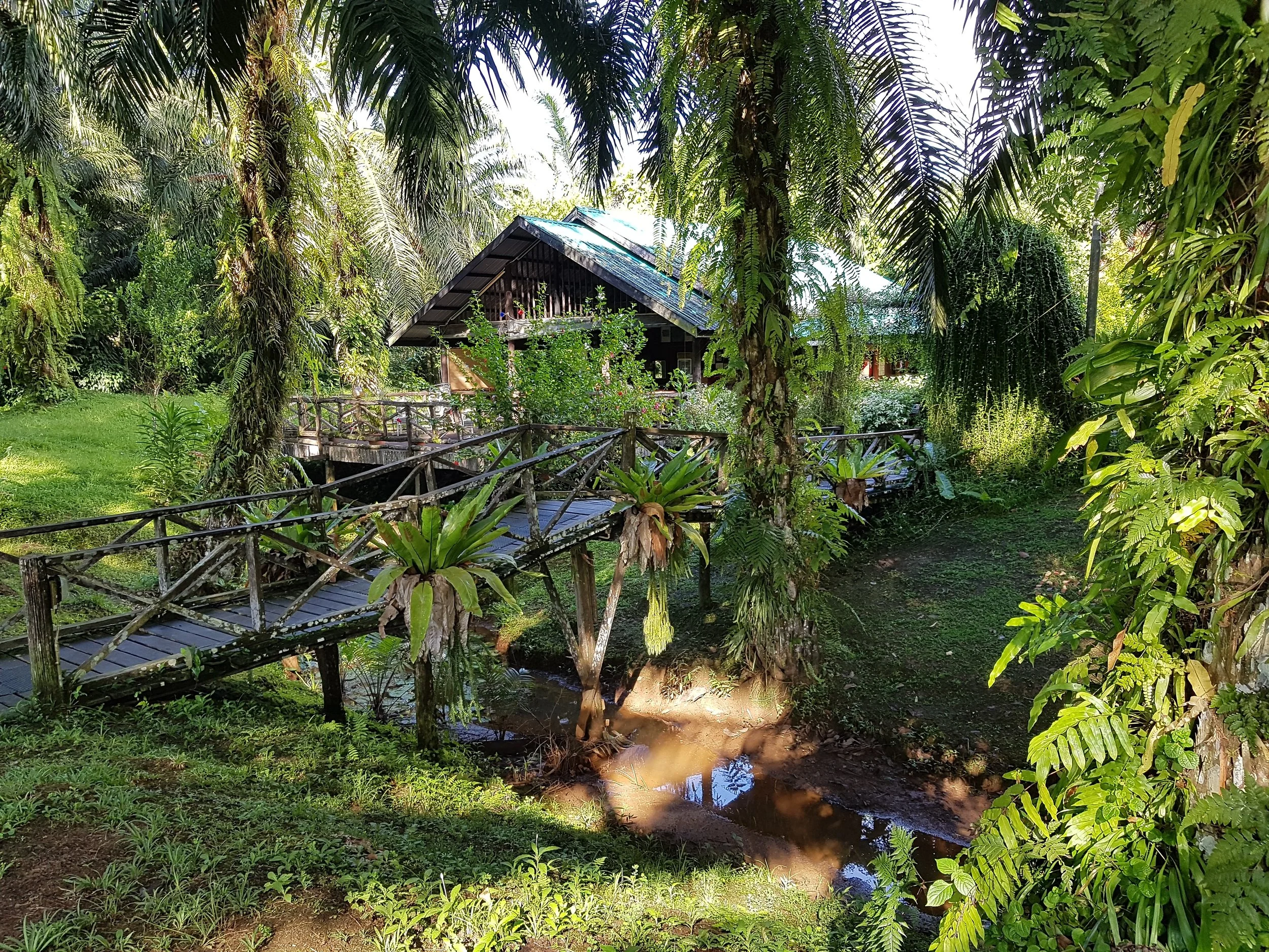 20180801_083141.jpg