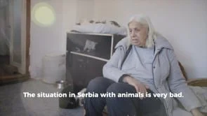 Pro Anima Narrative Cut V1