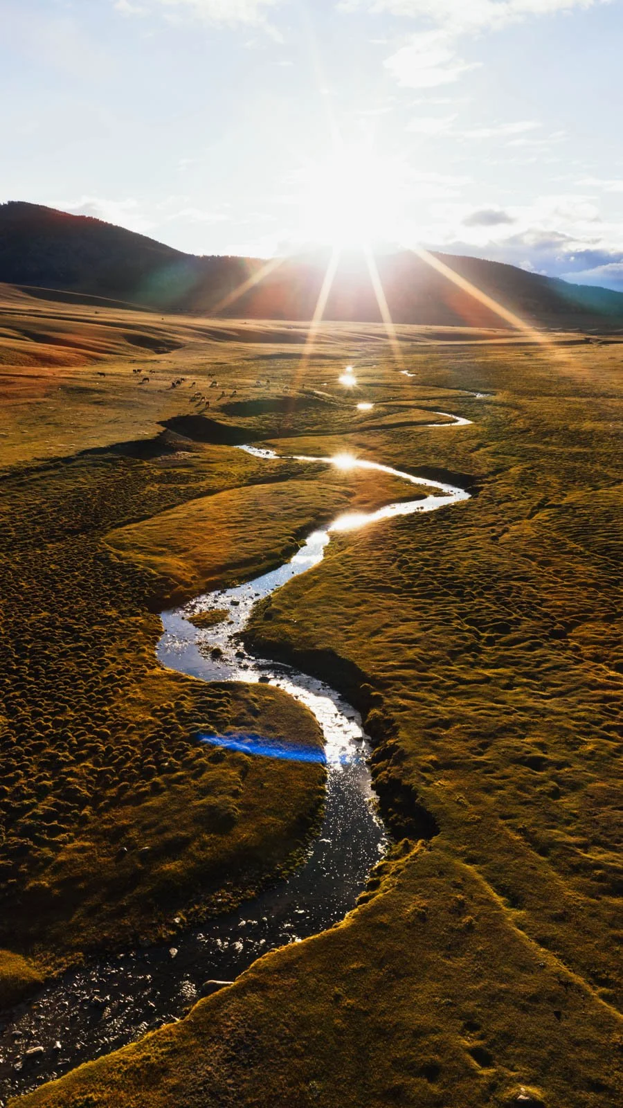 18_Mongolia_01_DJI_20260928054809_0026_D.jpg
