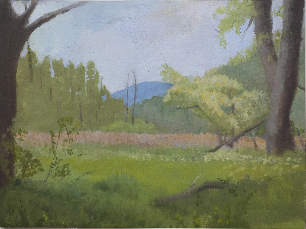 Berkshires #4