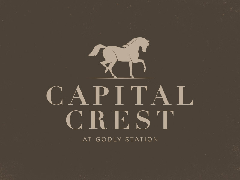 Cap Crest W5.jpg