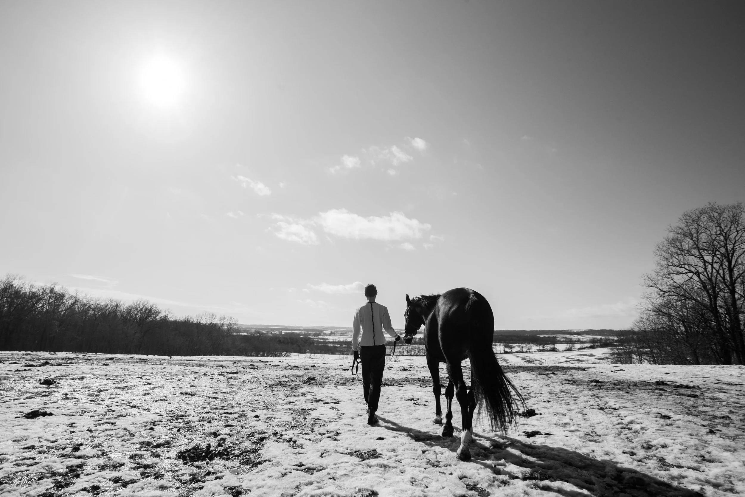 Horsepower-104.jpg