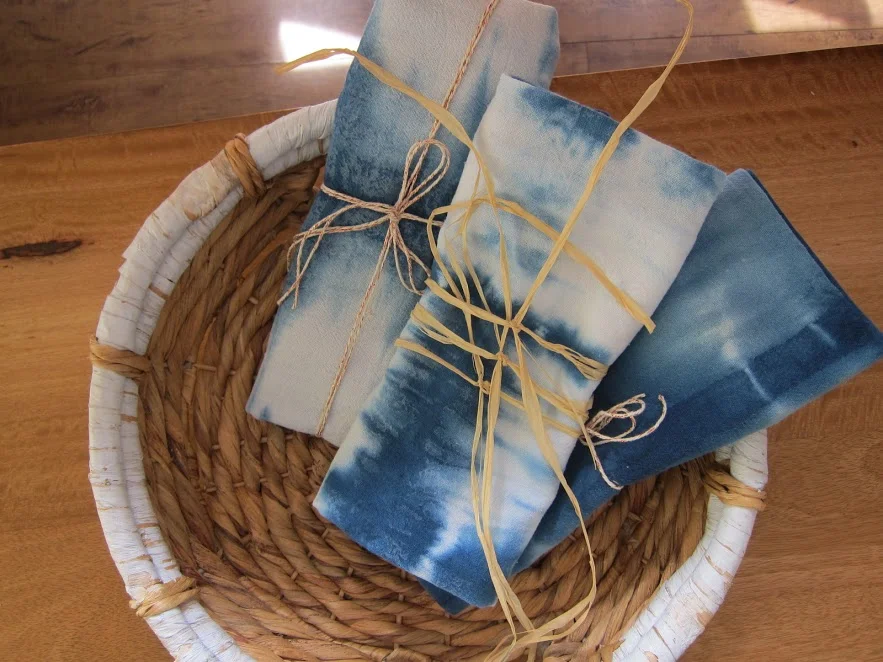 Real Apartment Therapy