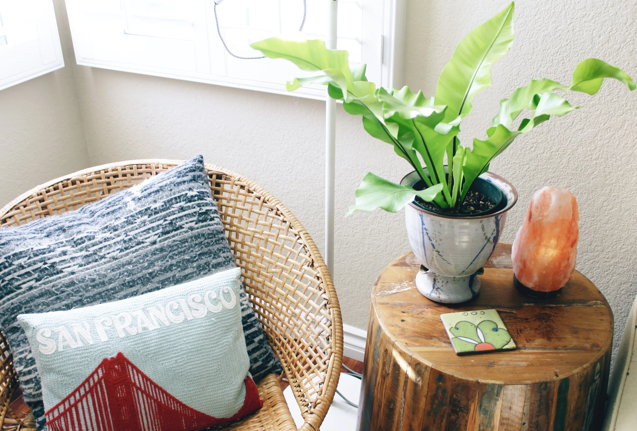 Friday Faves | Indoor Greens