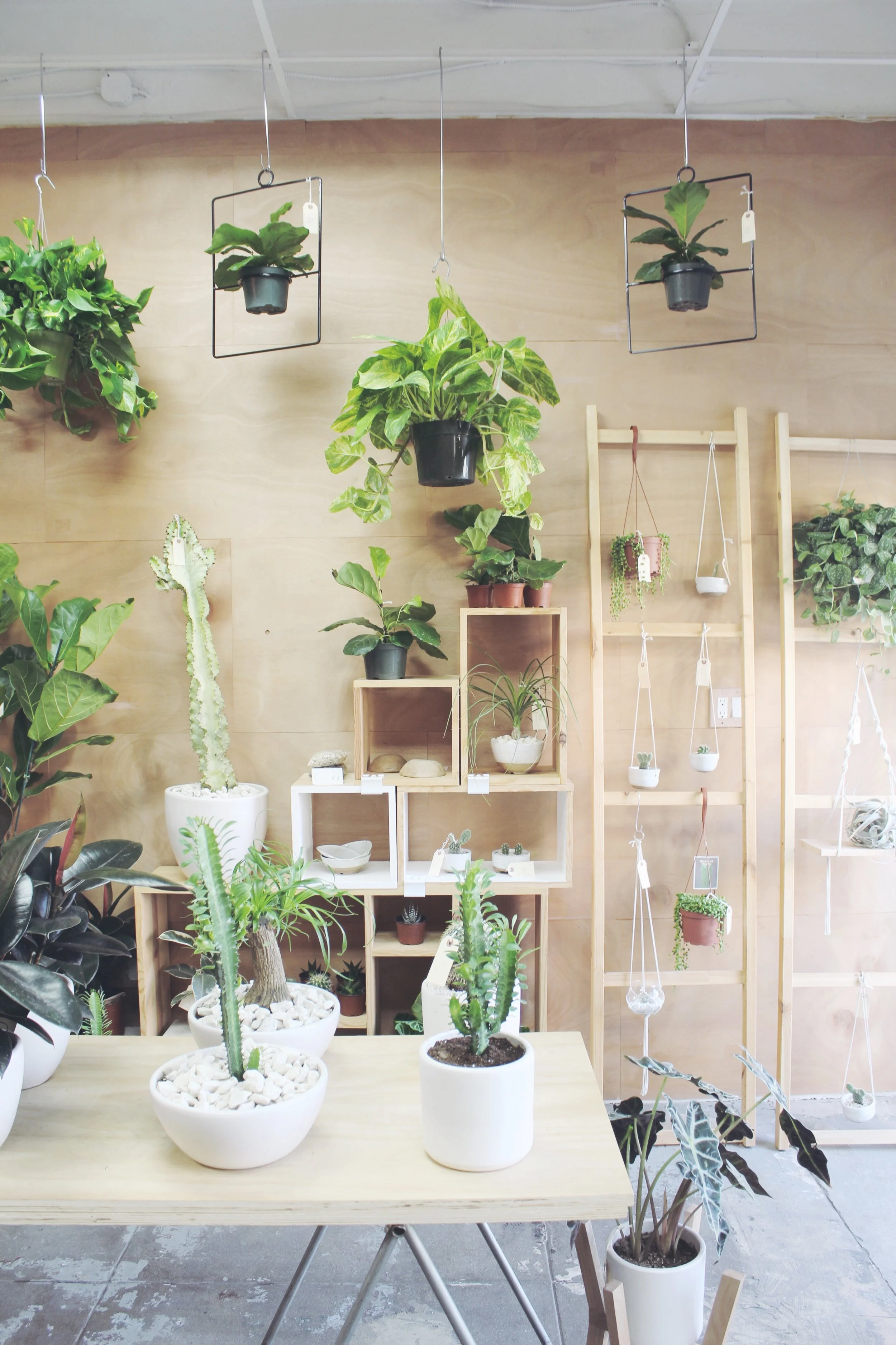 Maker of the Month | Peacock + Co