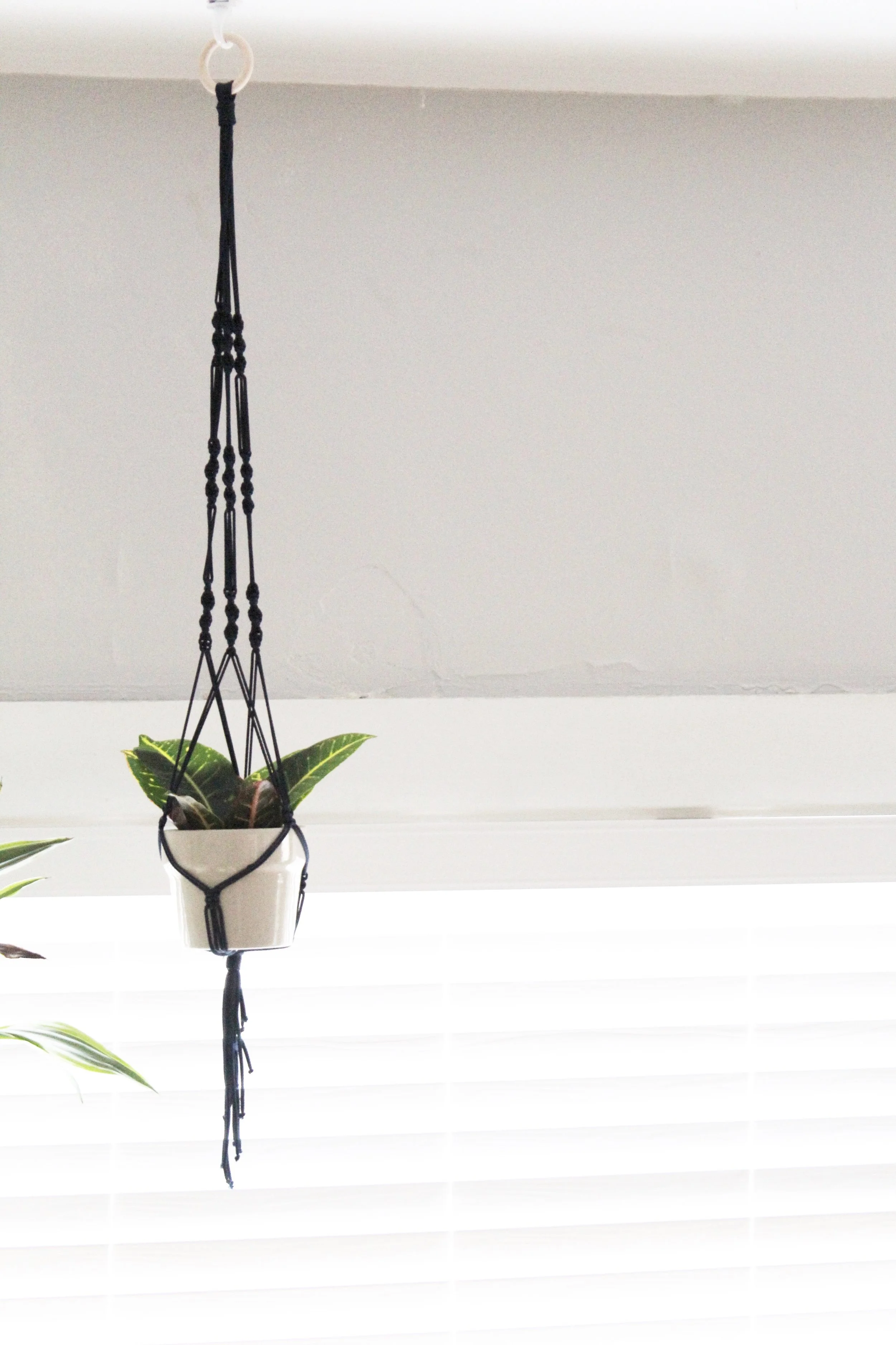 Where'd You Get That...Plant Hanger