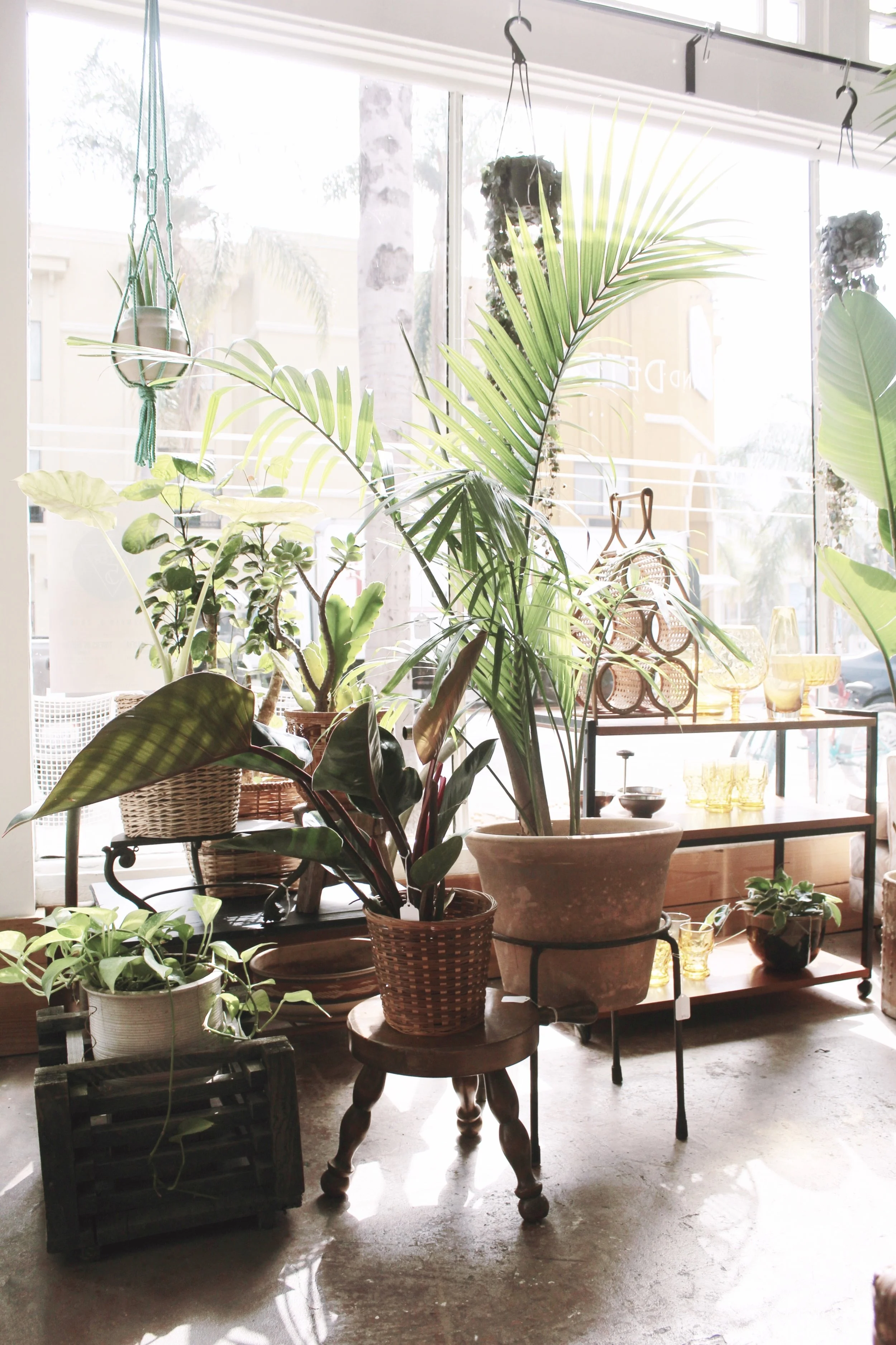 Friday Faves | Favorite Long Beach Spots