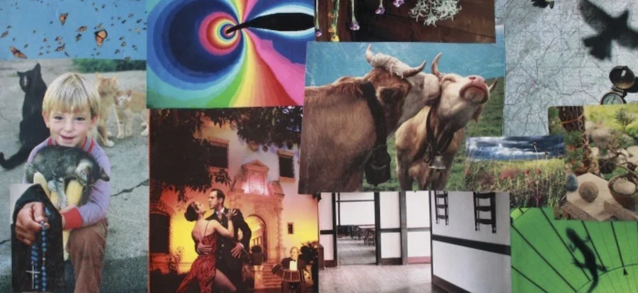 Getting What's Inside Out with Collage