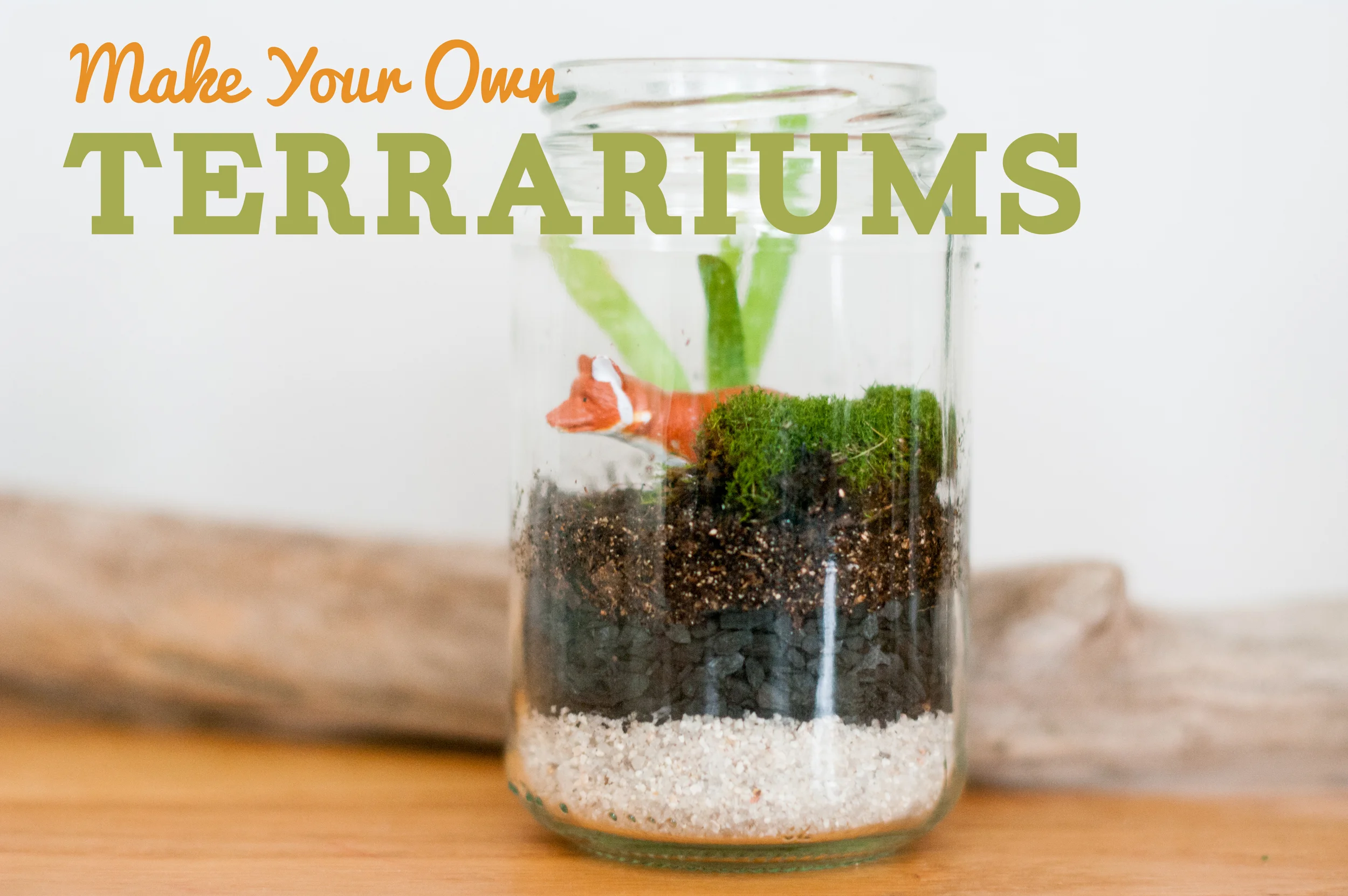 Terrariums with Art Salvage