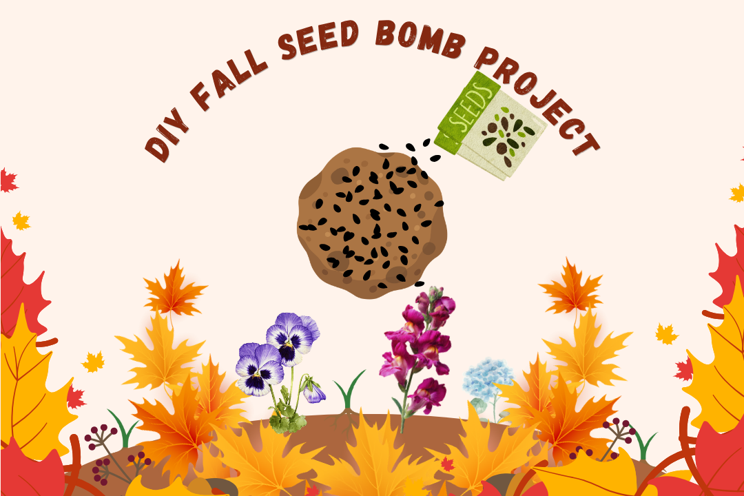 DIY Fall Seed Bombs