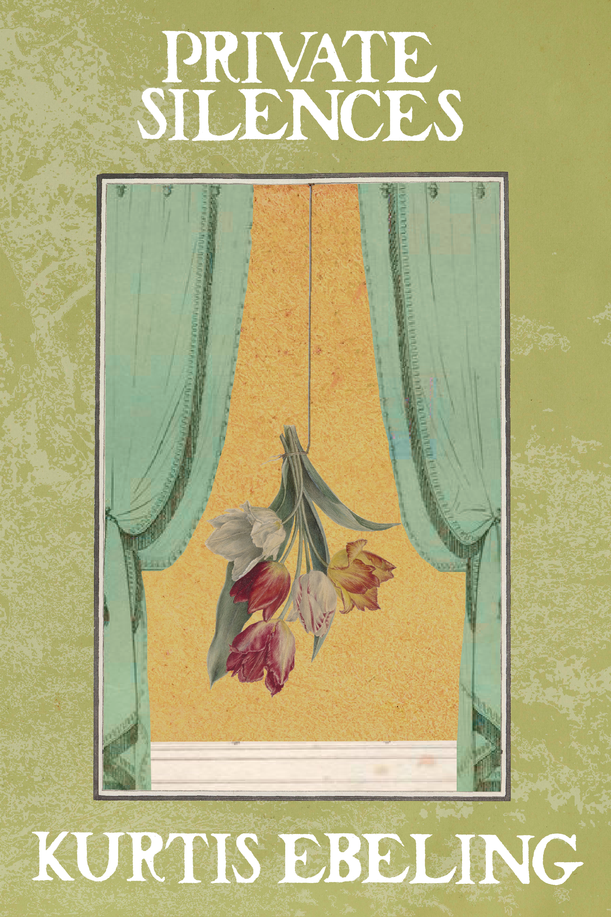 Private Silences Book Launch