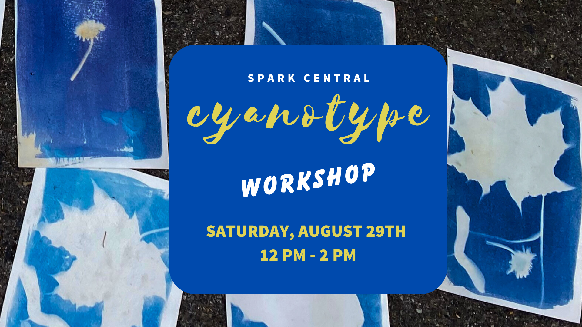 Cyanotype Photography and Tea Toning Workshop