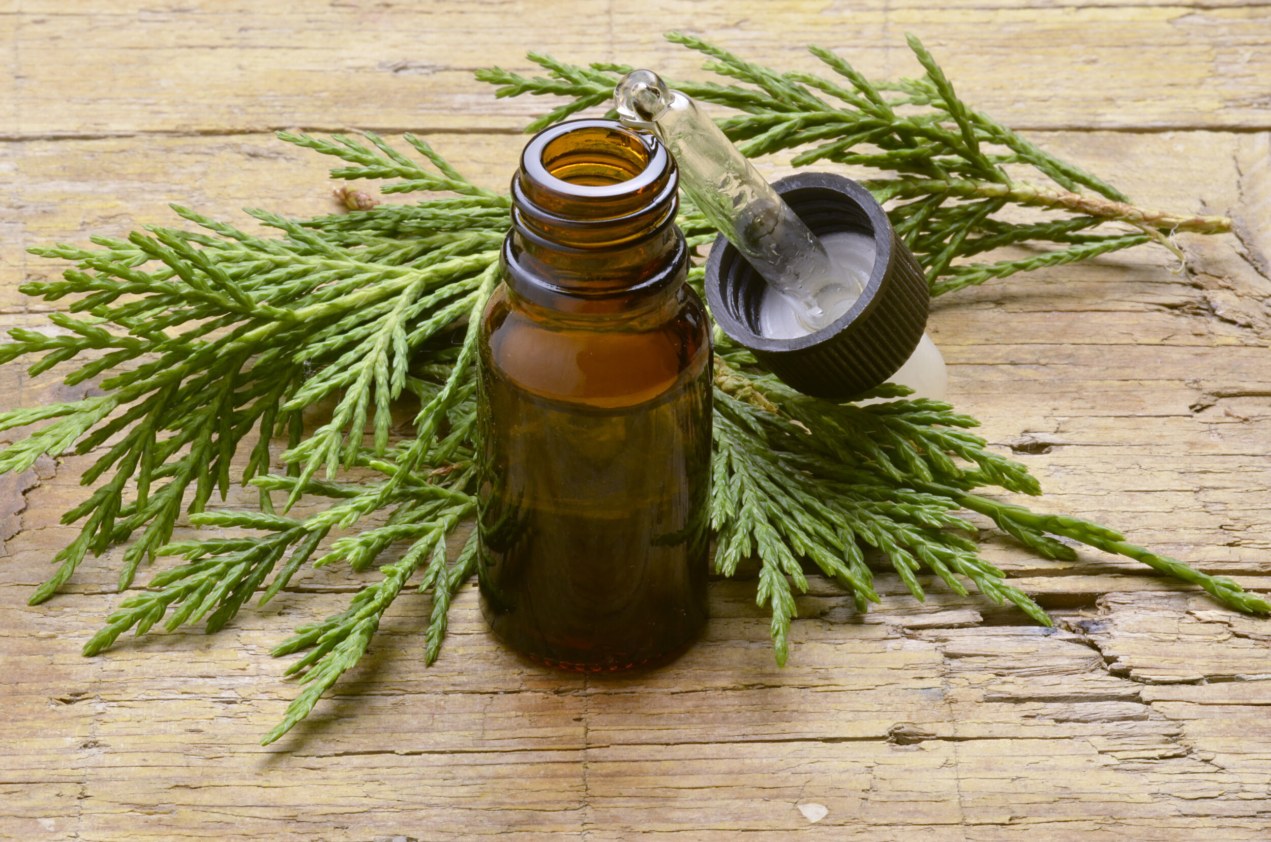 Cypress Essential Oil Uses and Benefits for Acne, Skin ...