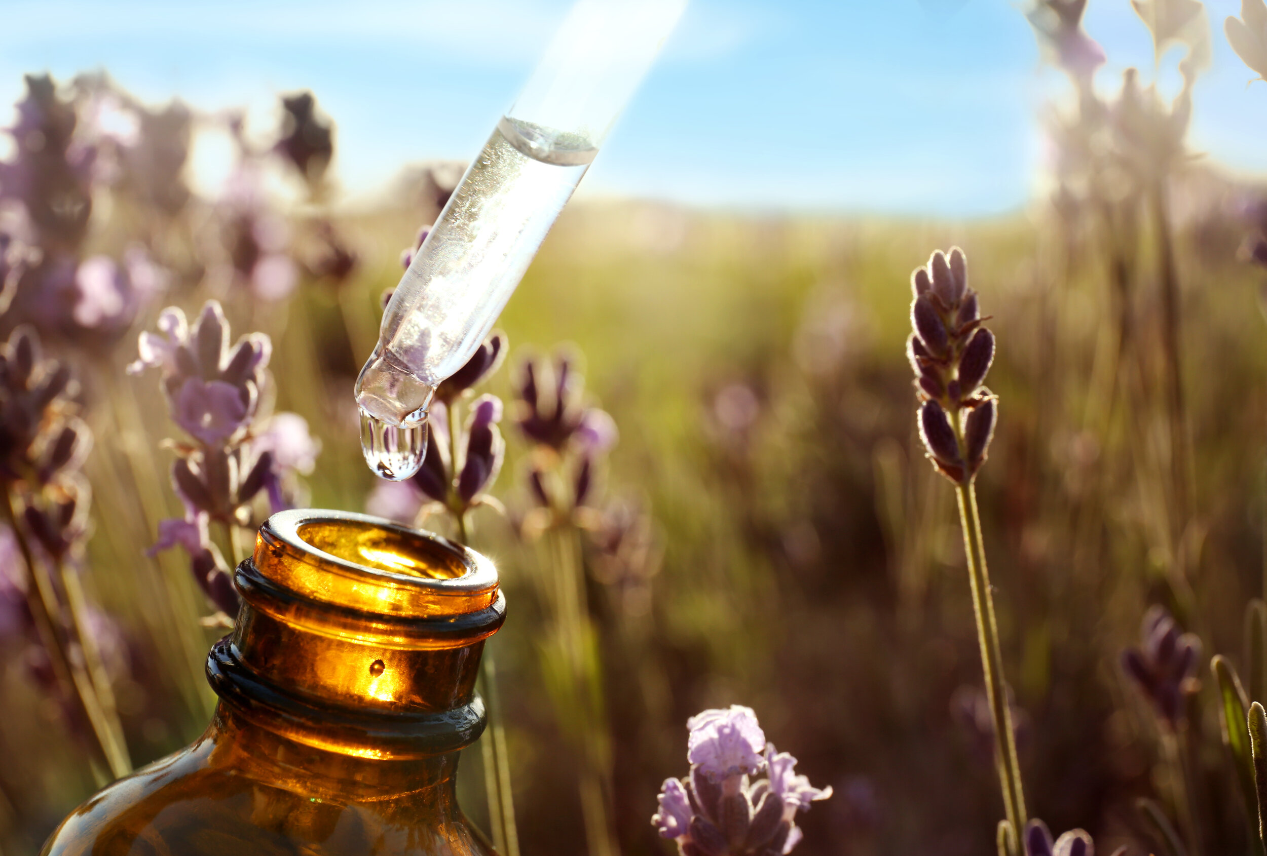Benefits and Uses of Lavender Essential Oil for Skin Care, Body Care | DIY  Recipes and Safety Tips — Isabella's Clearly